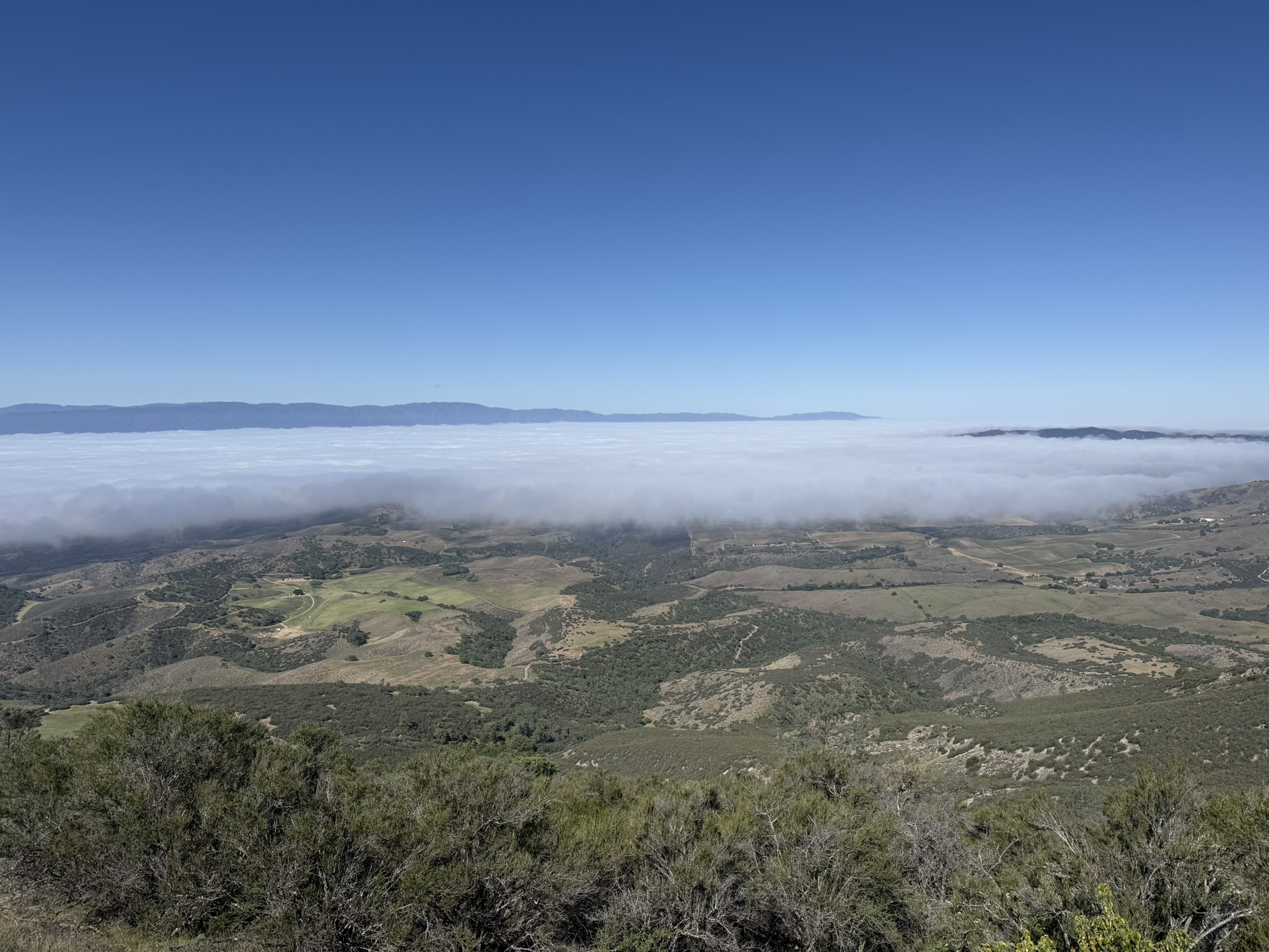 Pinnacles National Park