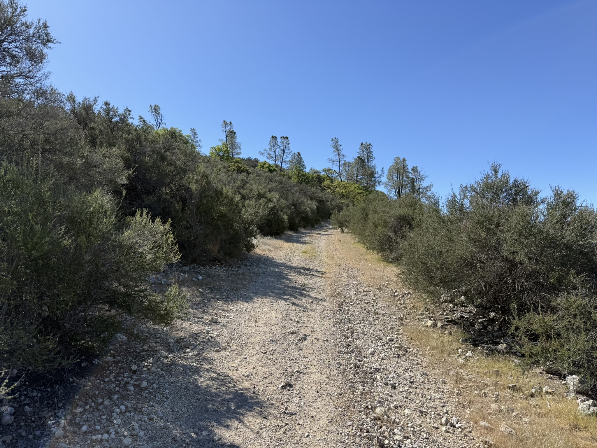 Pinnacles National Park