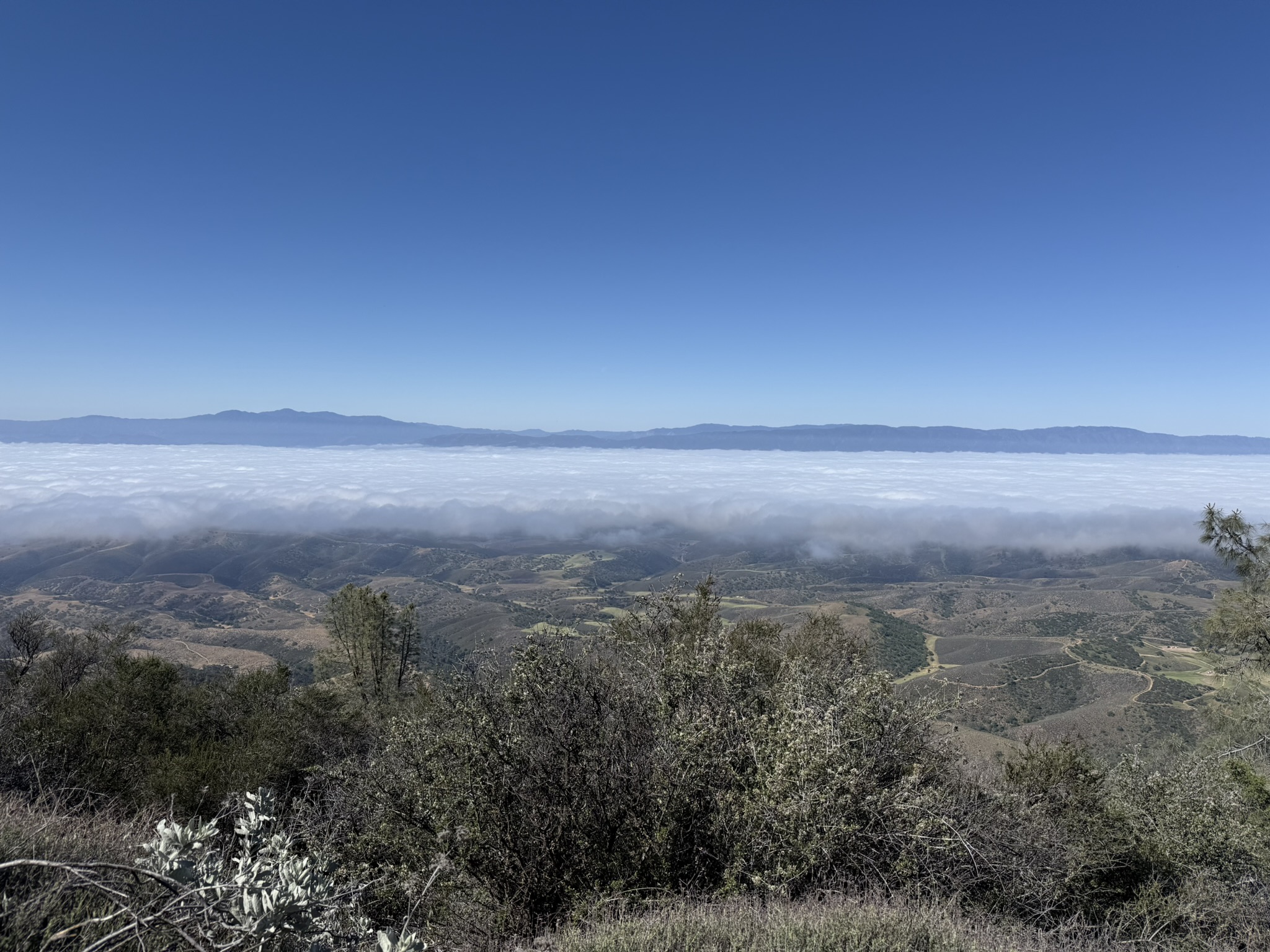 Pinnacles National Park