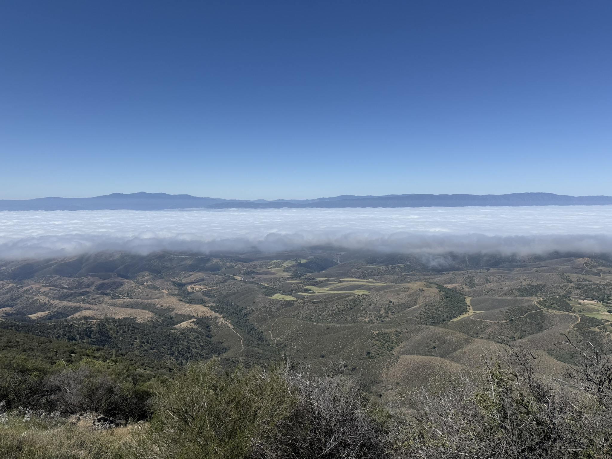Pinnacles National Park
