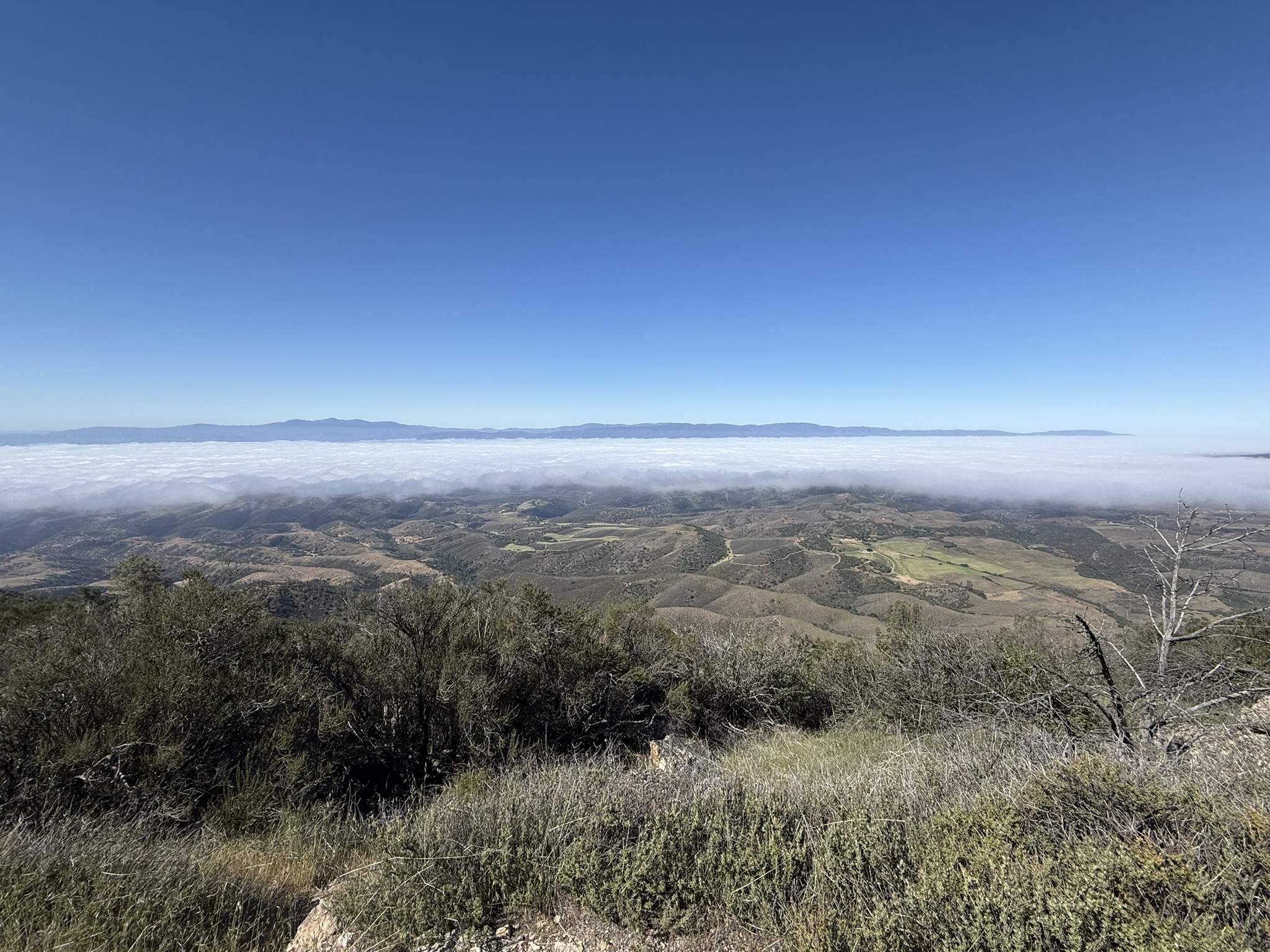 Pinnacles National Park