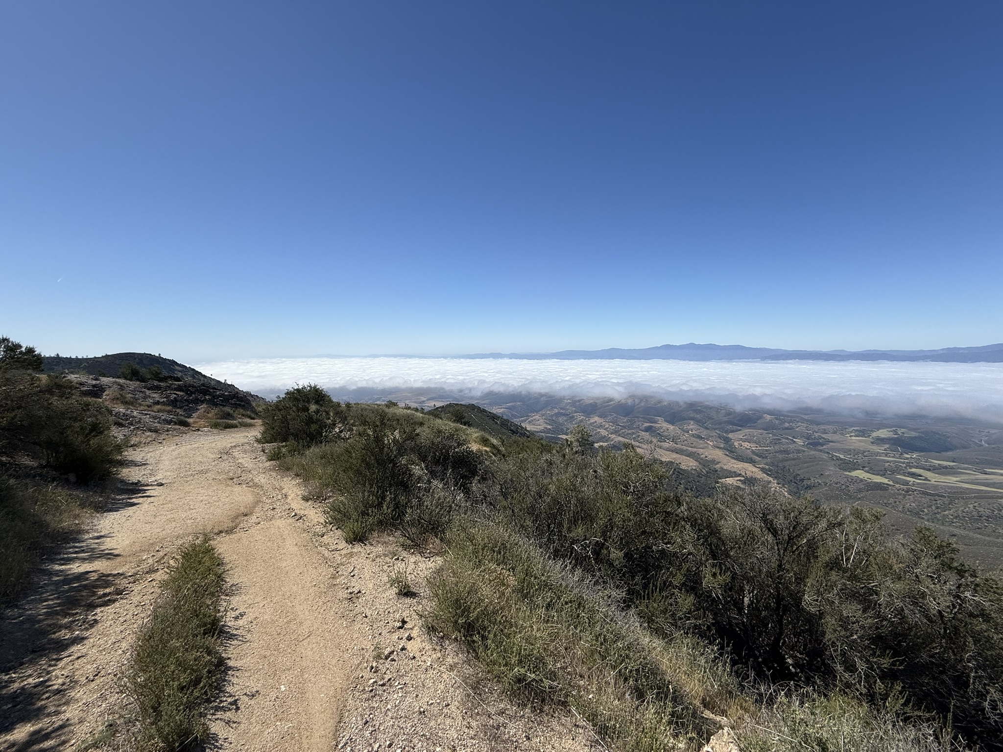 Pinnacles National Park
