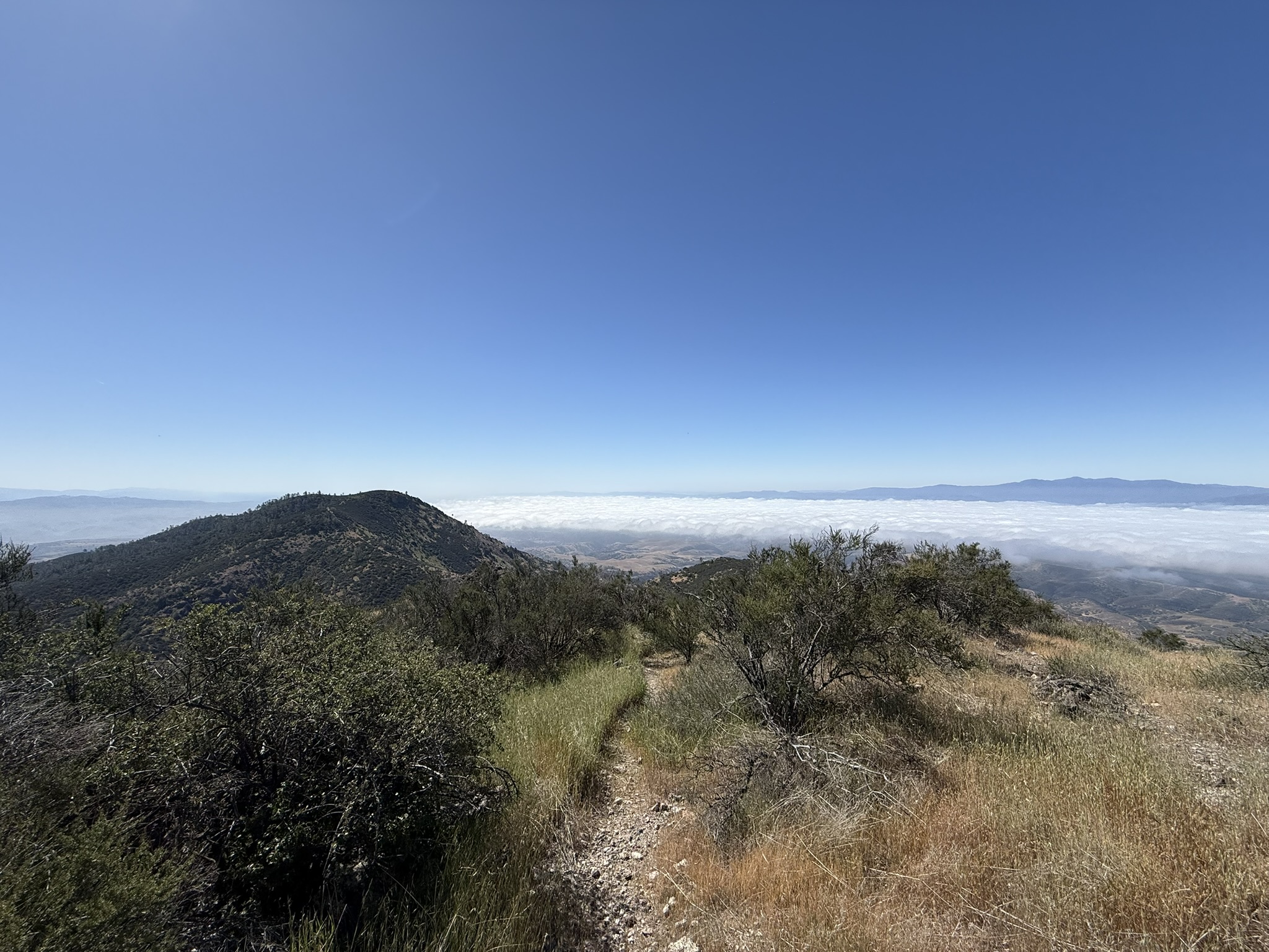 Pinnacles National Park
