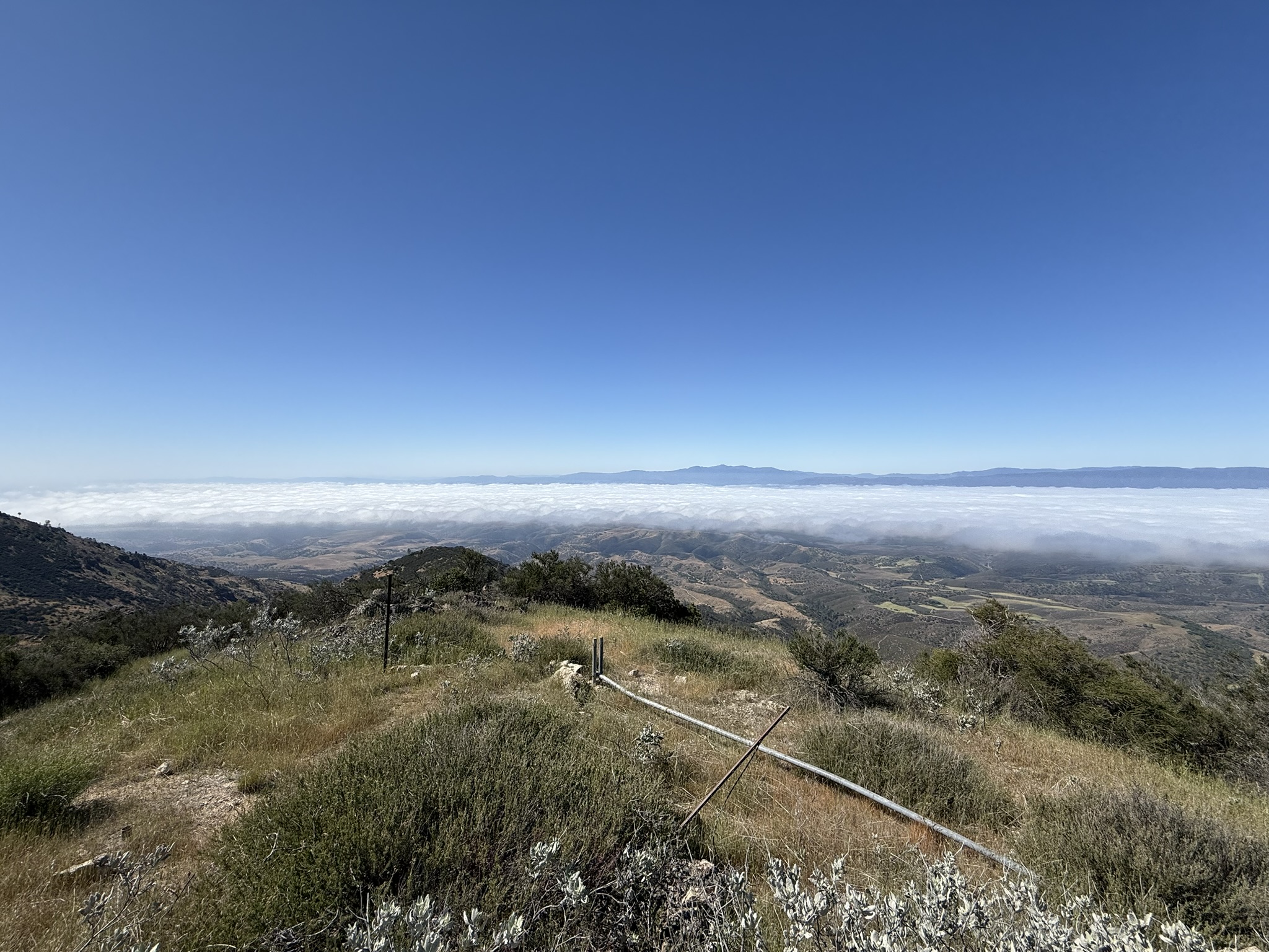 Pinnacles National Park