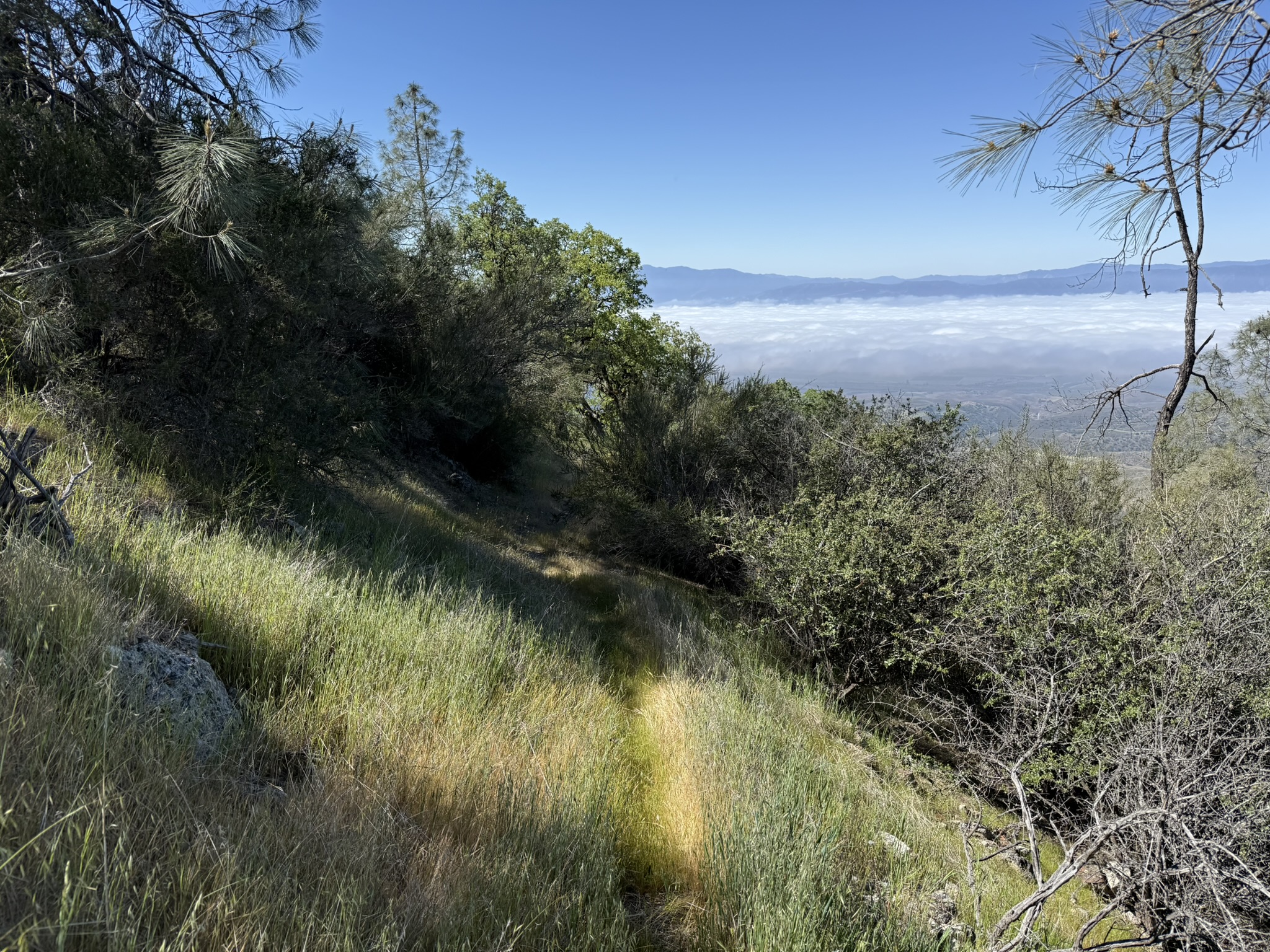 Pinnacles National Park