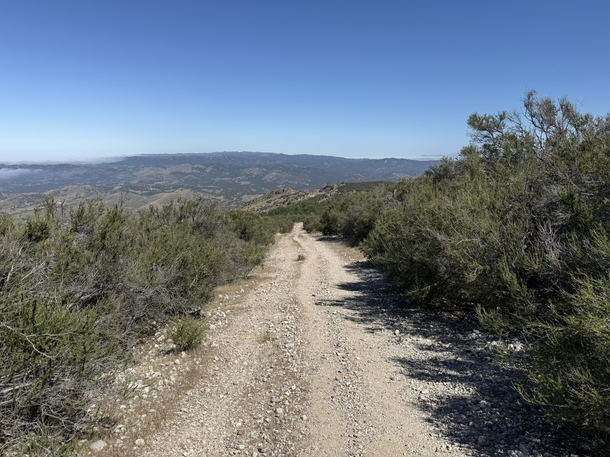 Pinnacles National Park