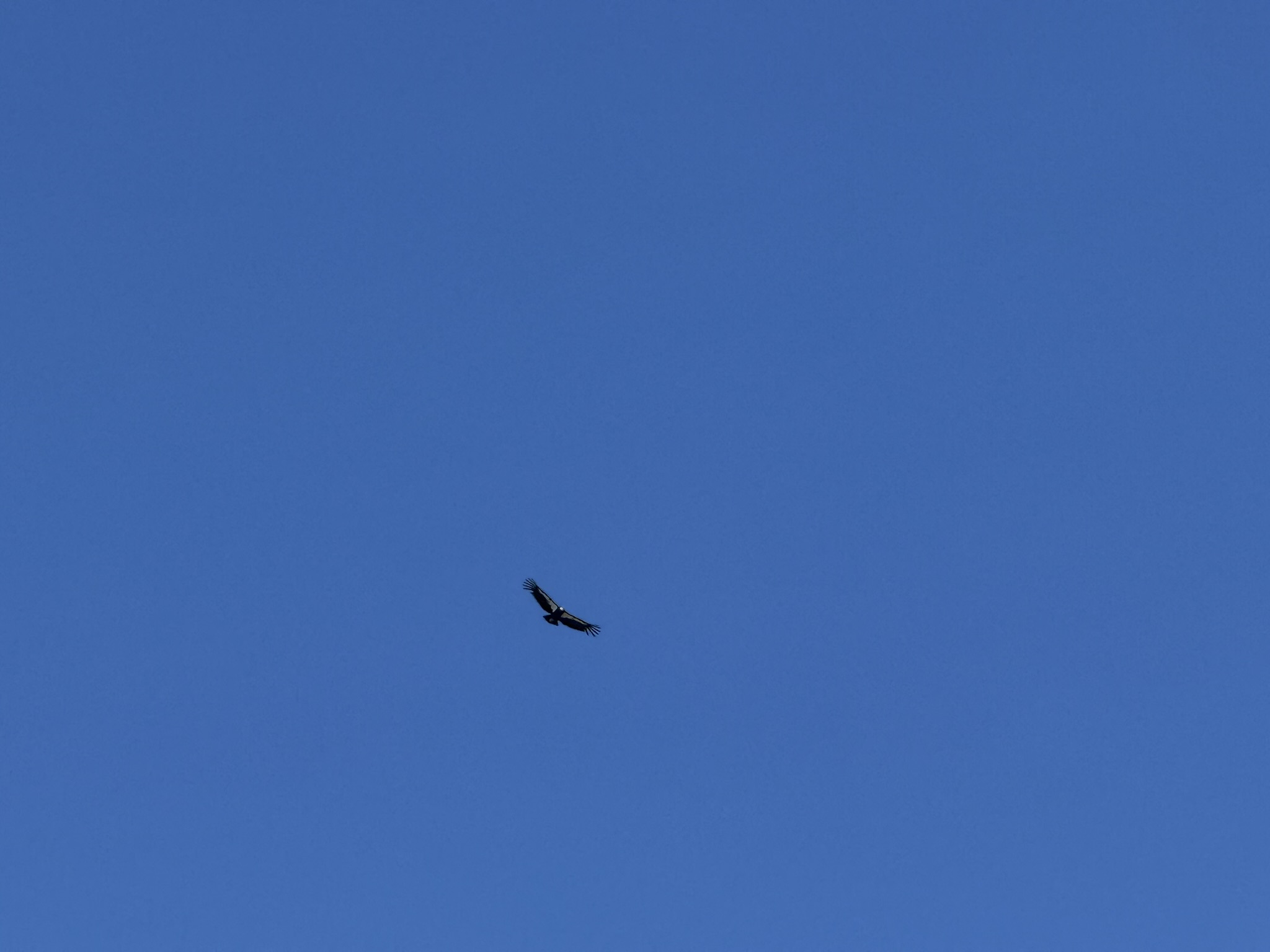 Pinnacles National Park
