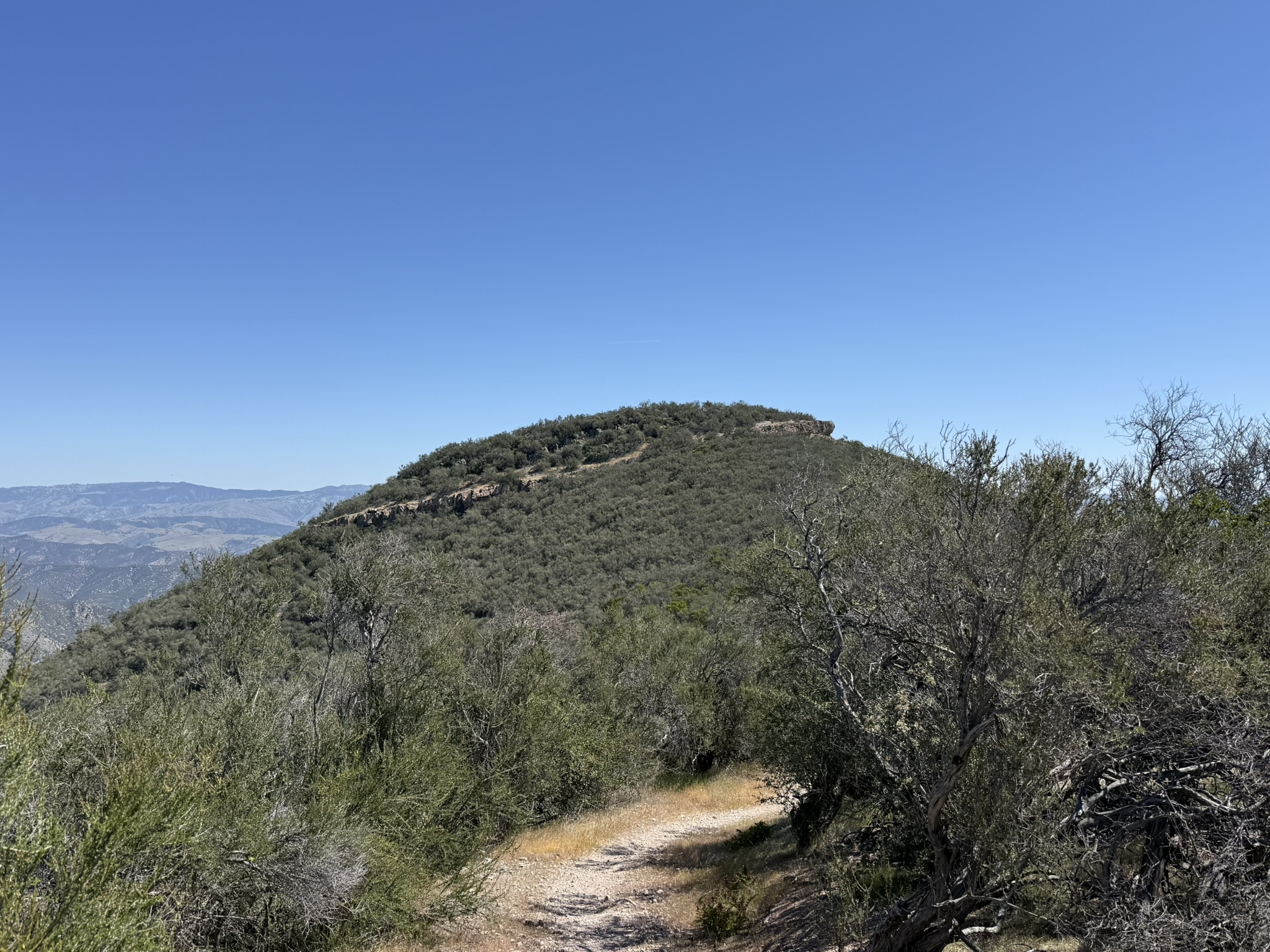 Pinnacles National Park