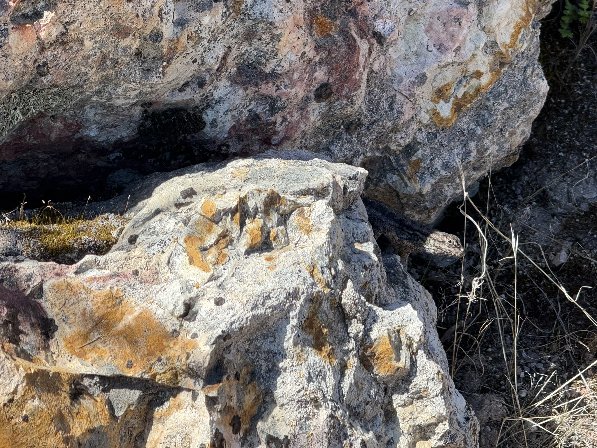 Pinnacles National Park