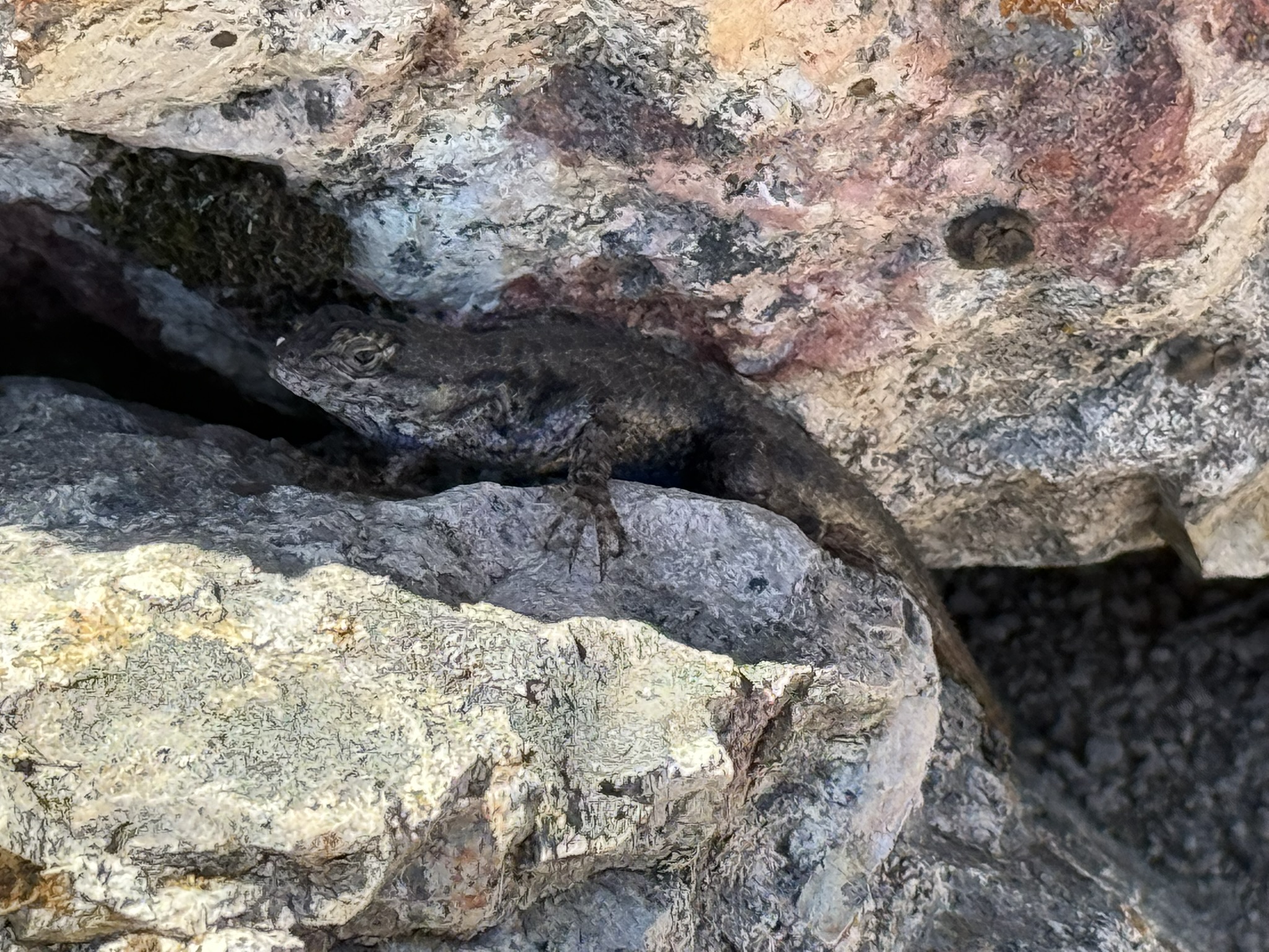 Pinnacles National Park