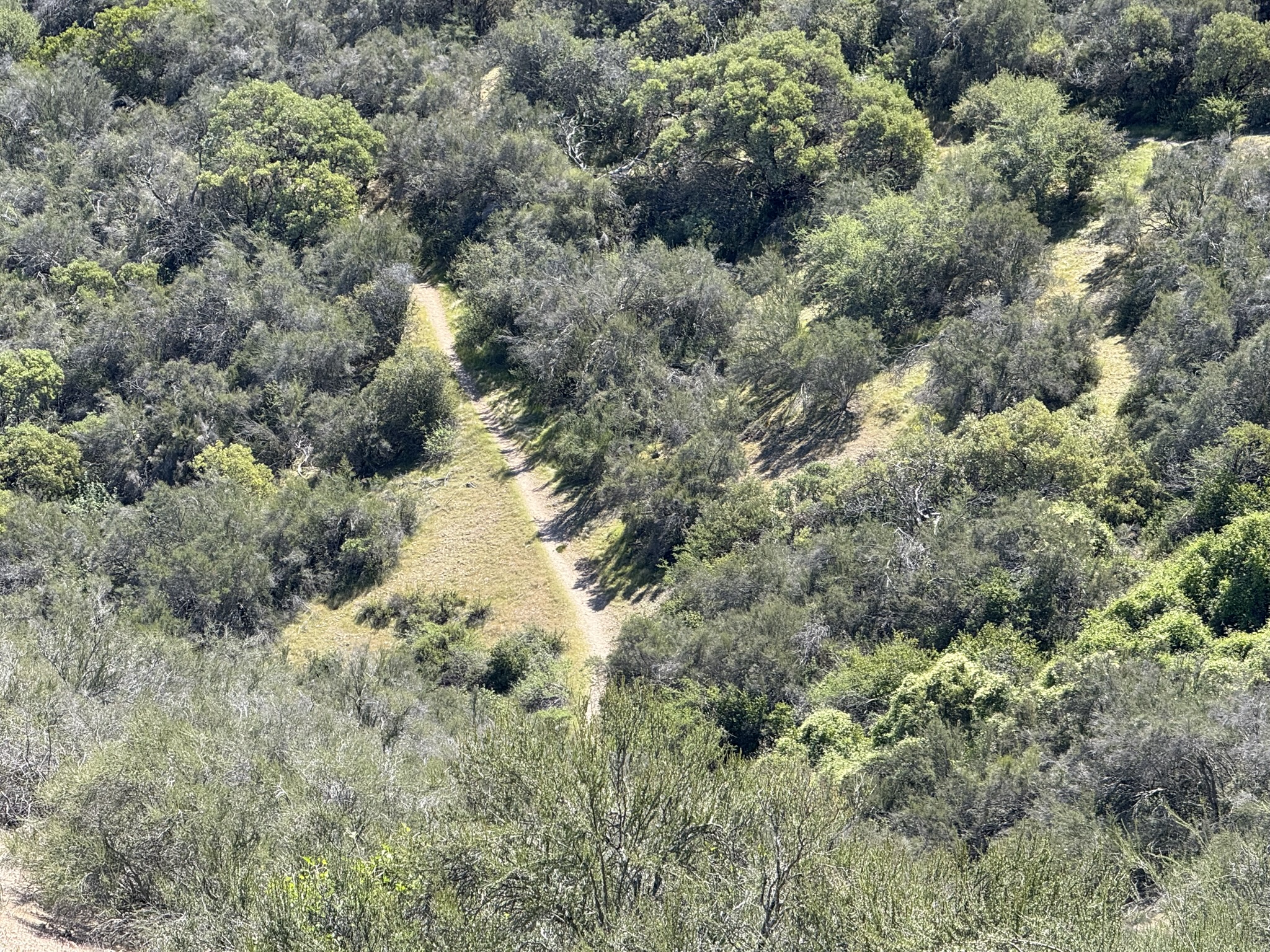 Pinnacles National Park