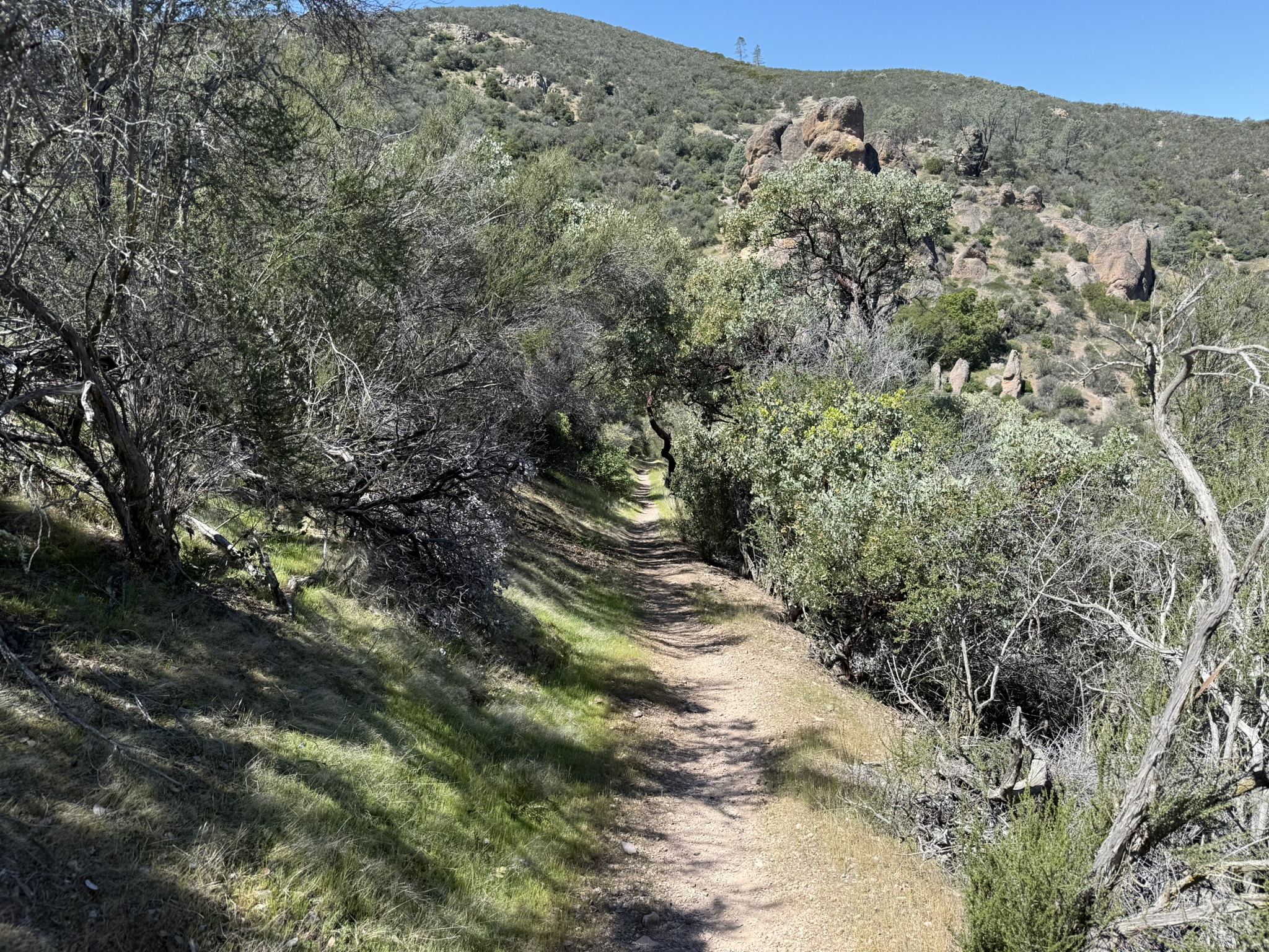 Pinnacles National Park