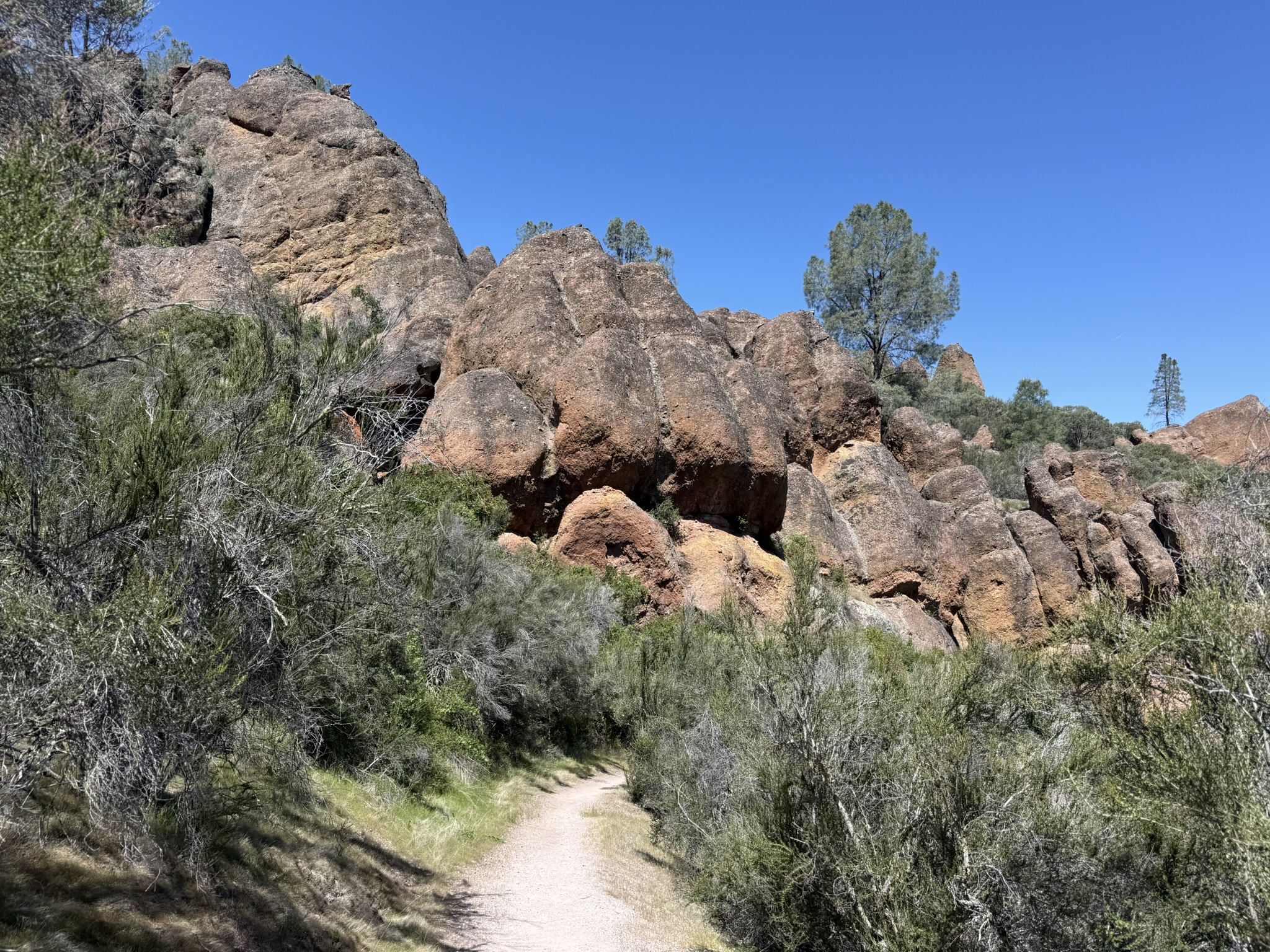 Pinnacles National Park
