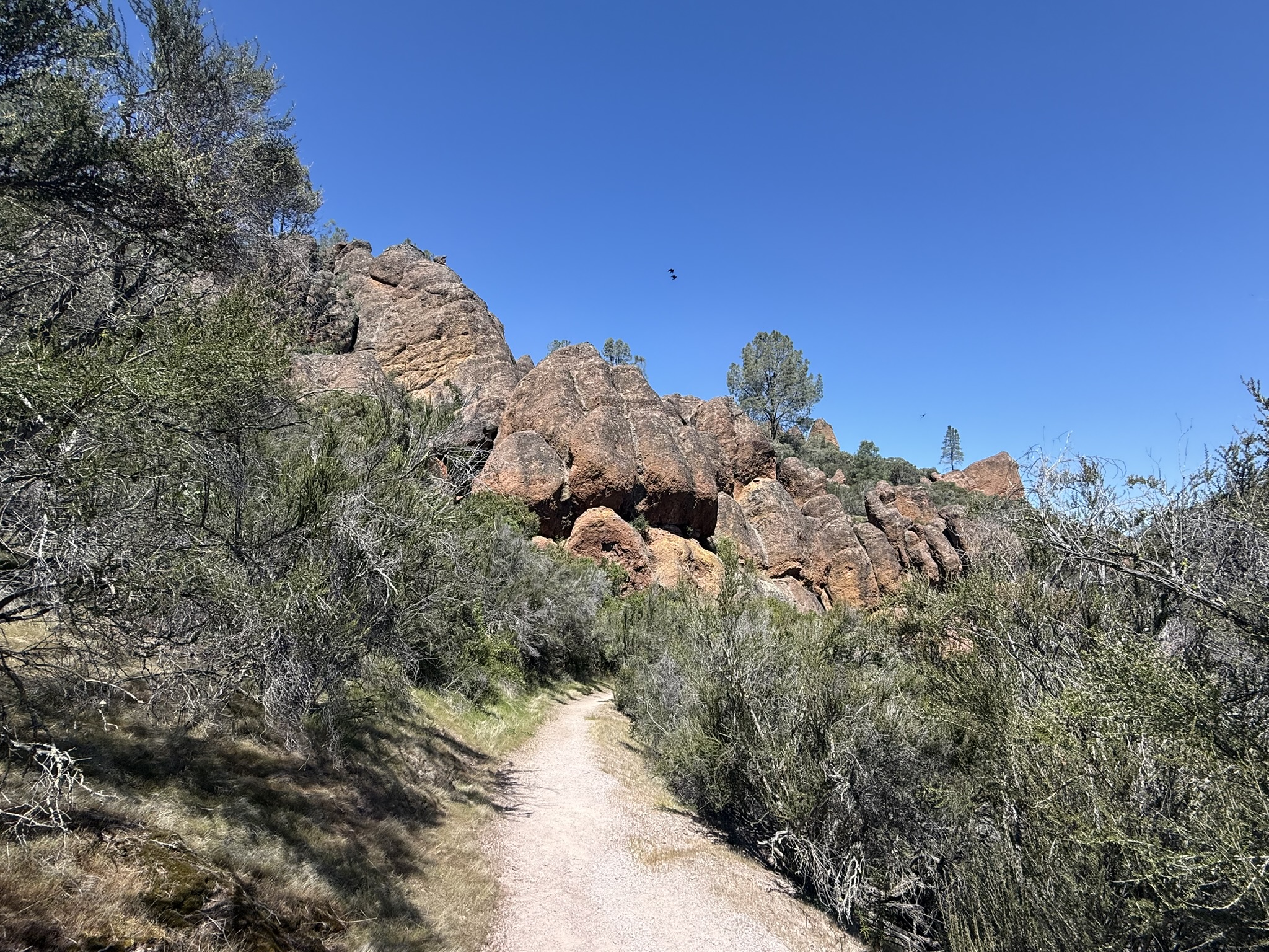 Pinnacles National Park