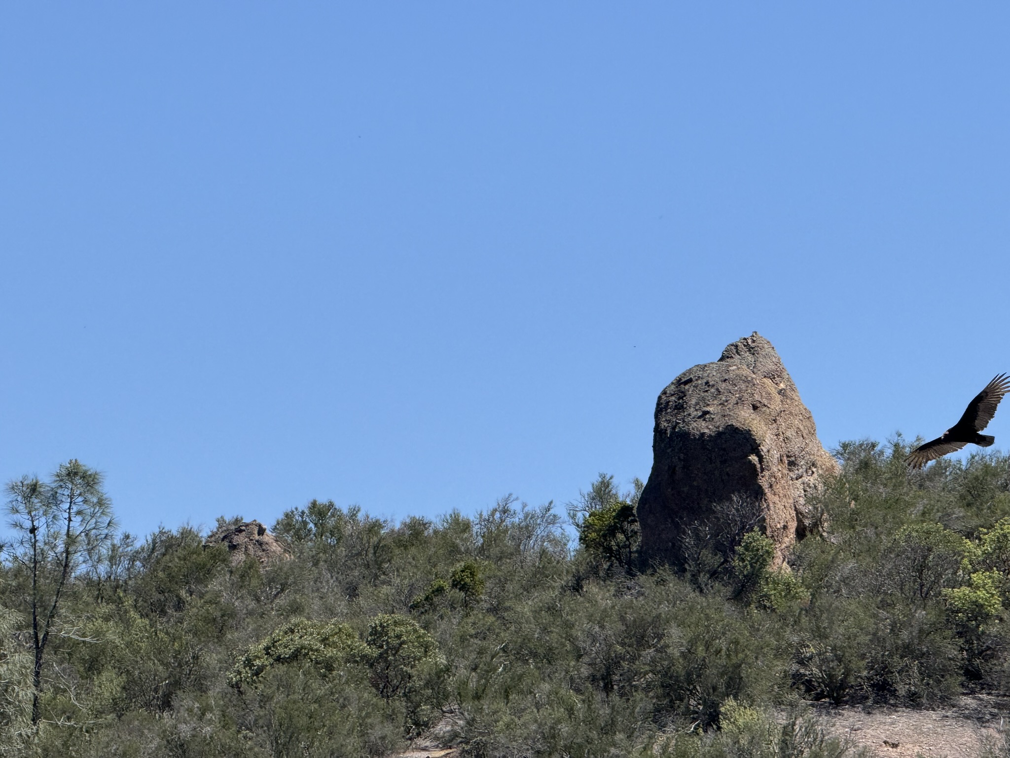 Pinnacles National Park