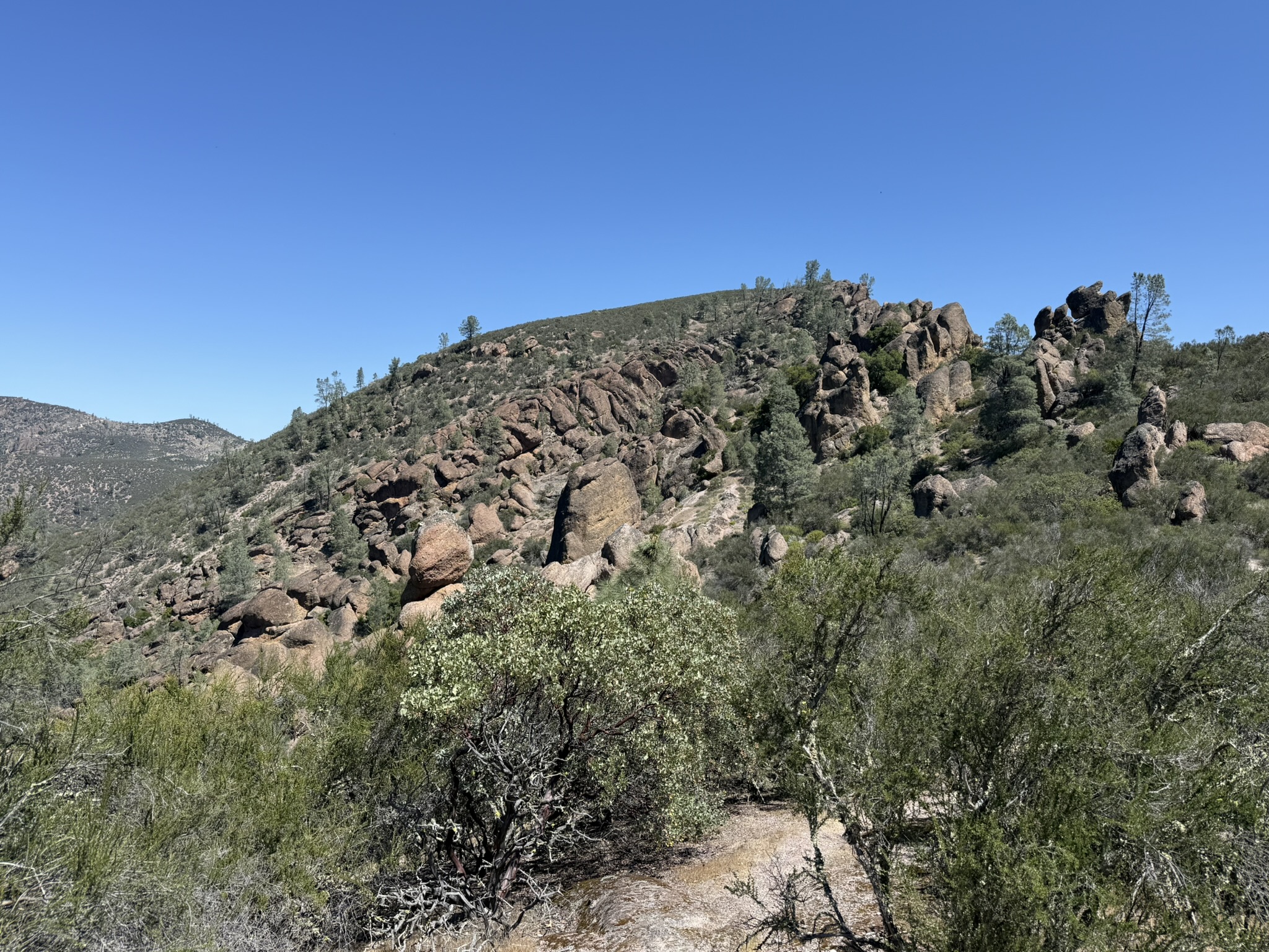 Pinnacles National Park