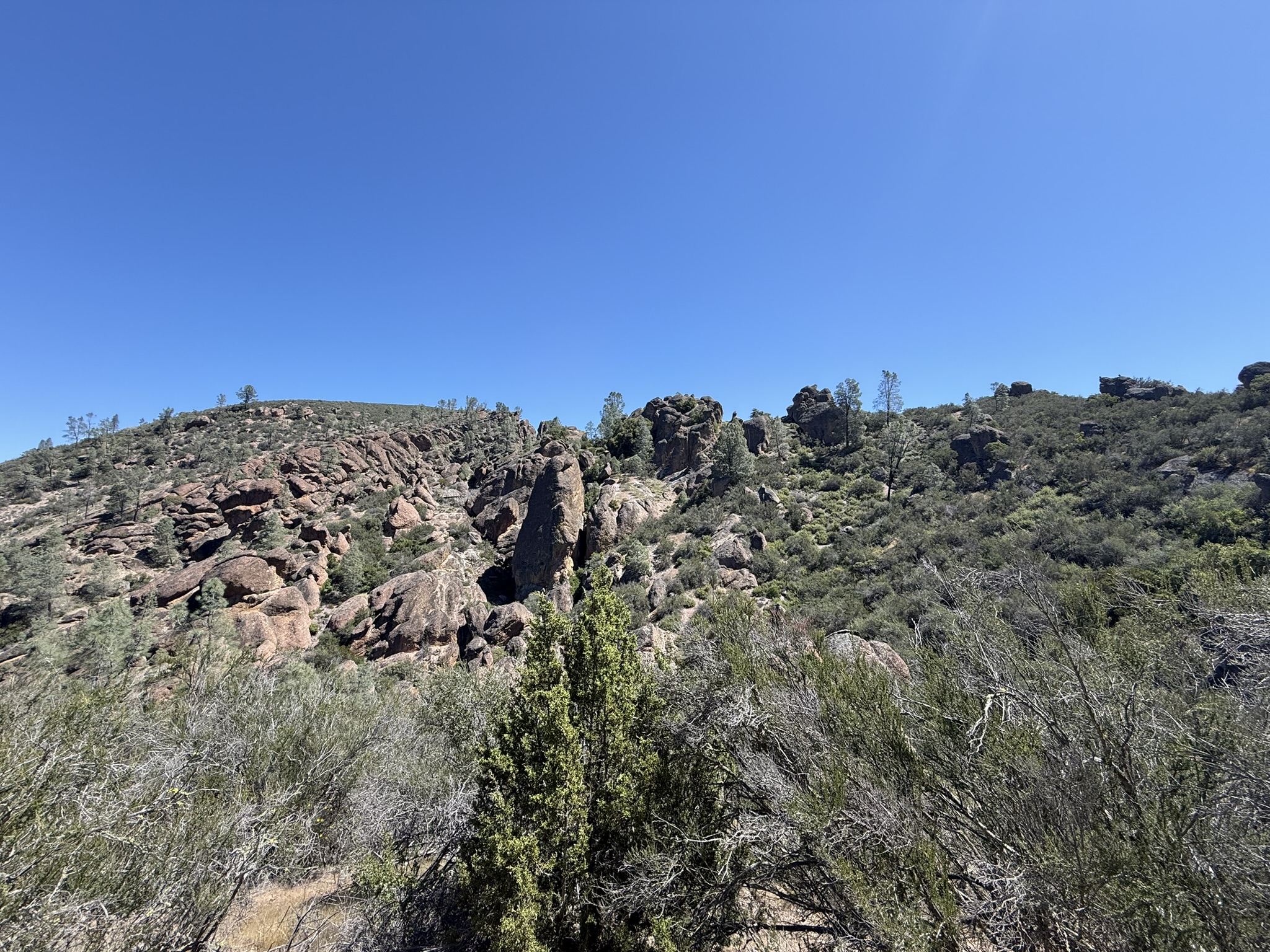 Pinnacles National Park