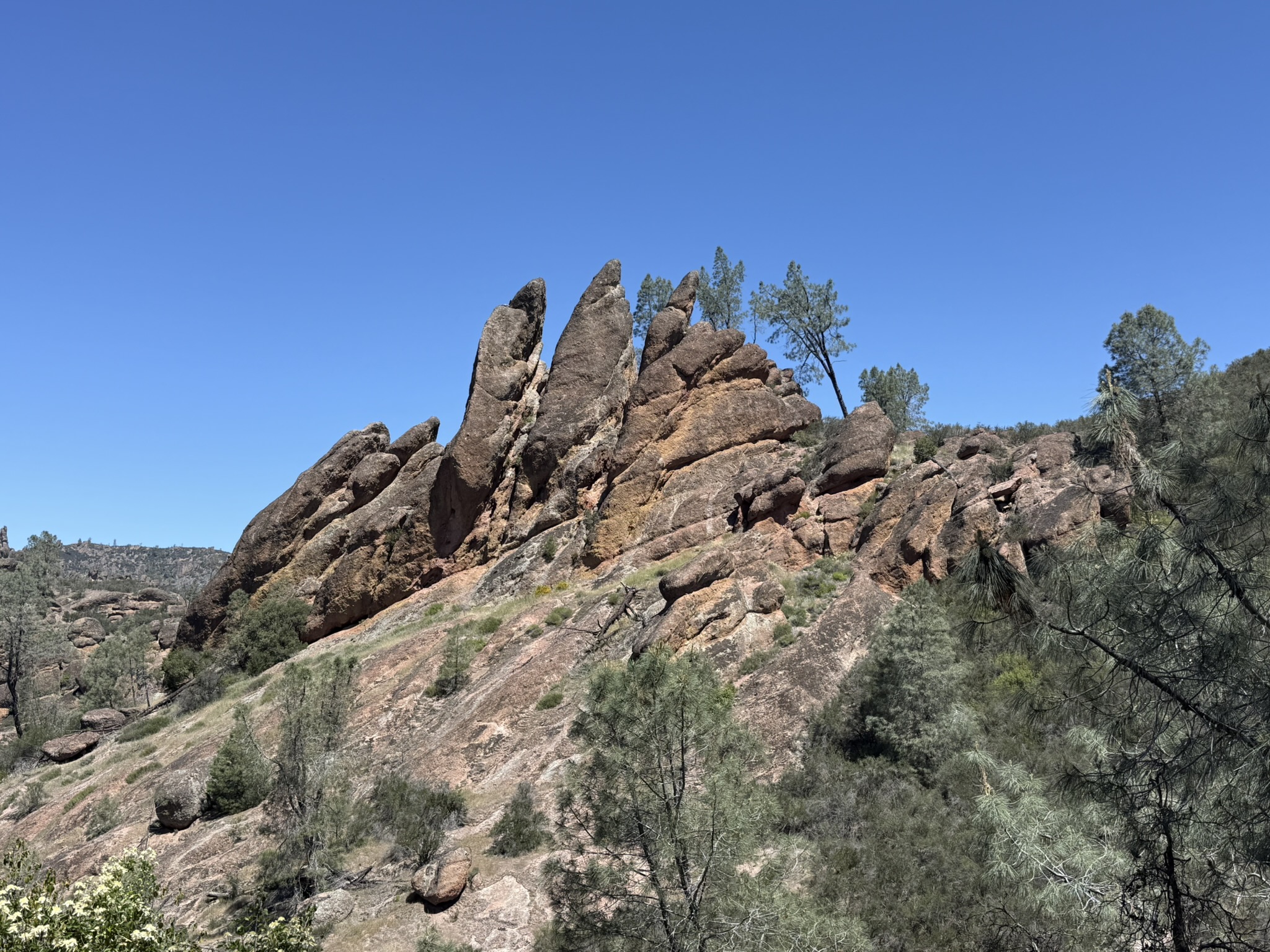 Pinnacles National Park