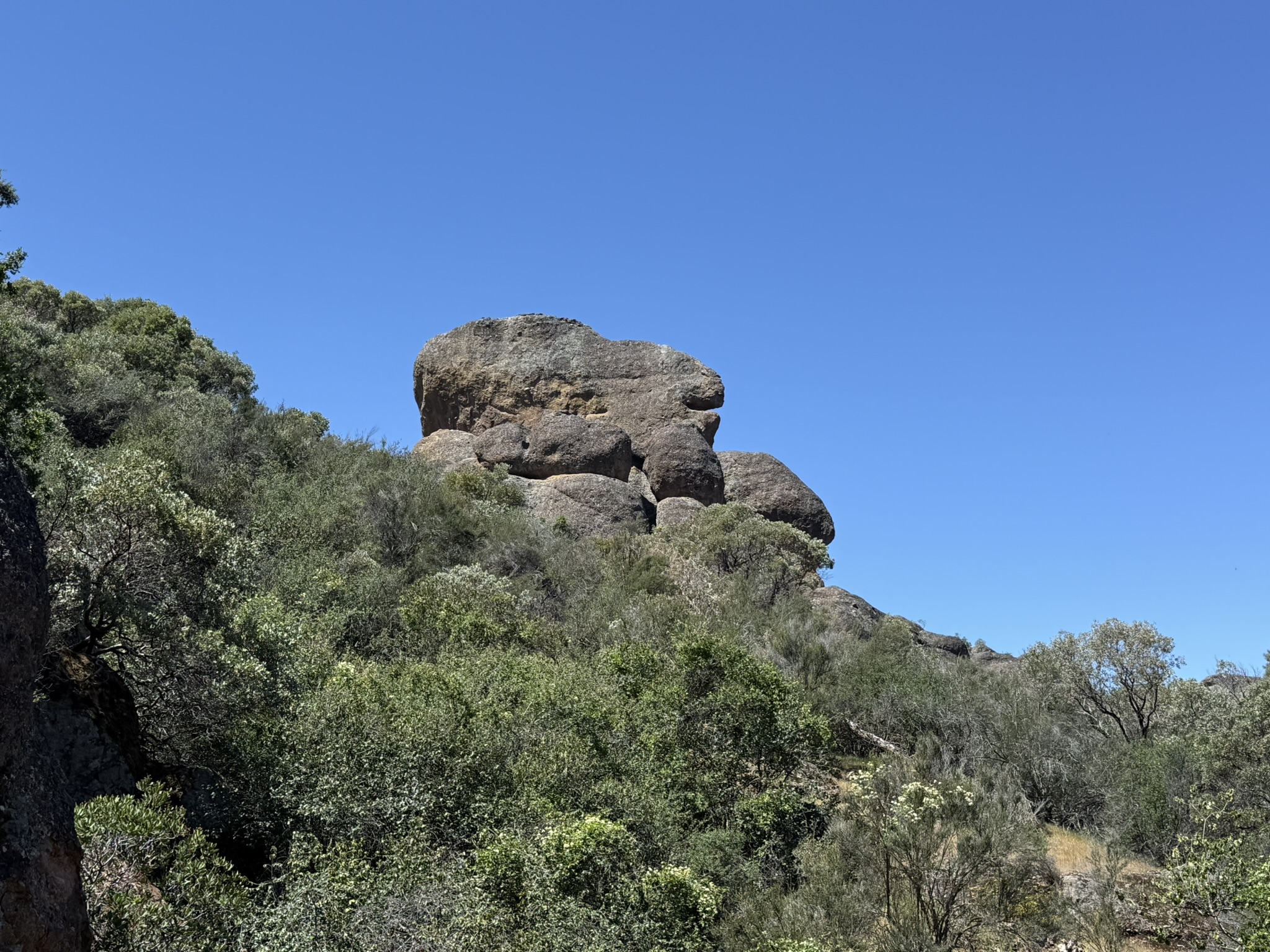 Pinnacles National Park