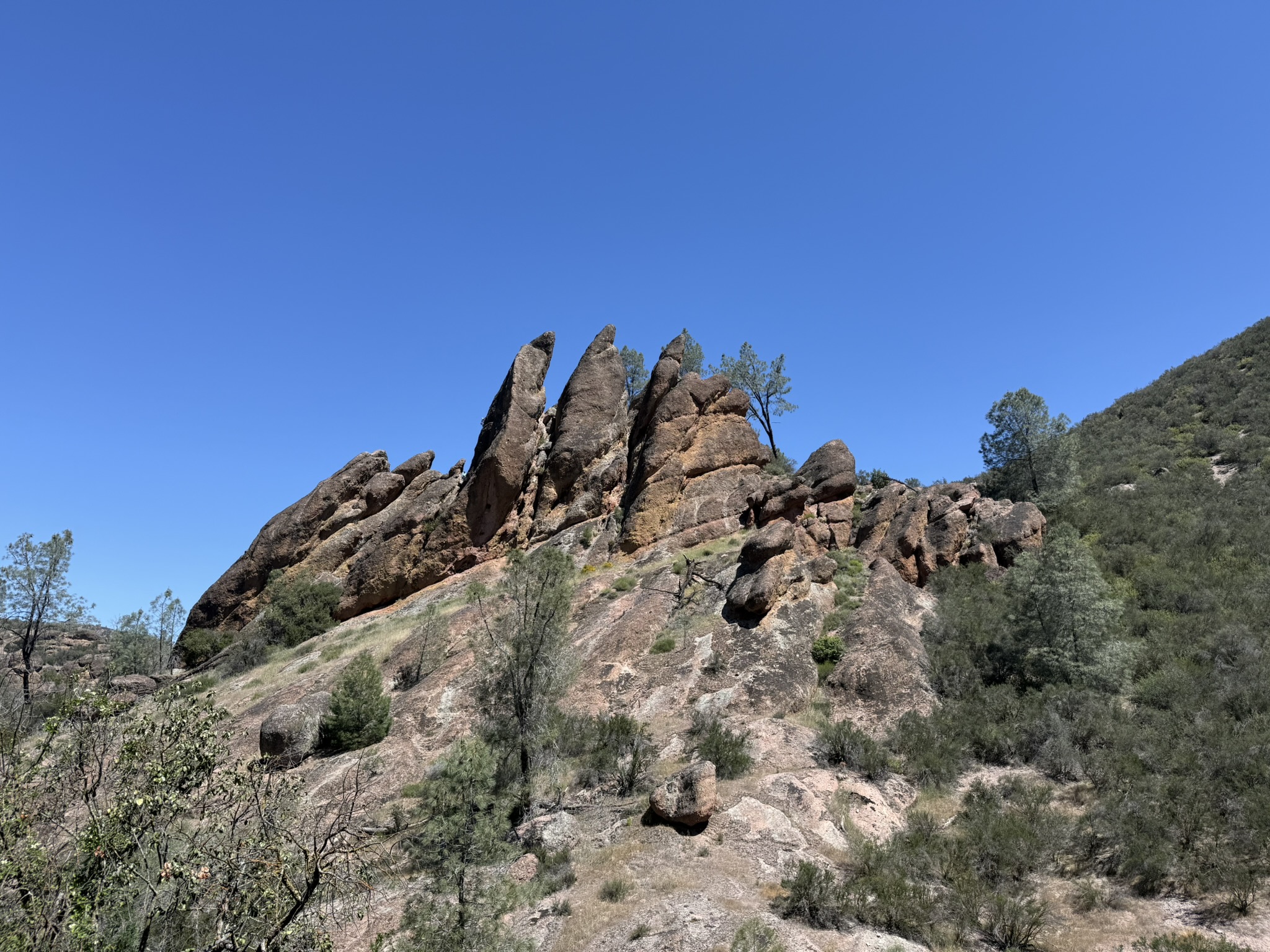 Pinnacles National Park