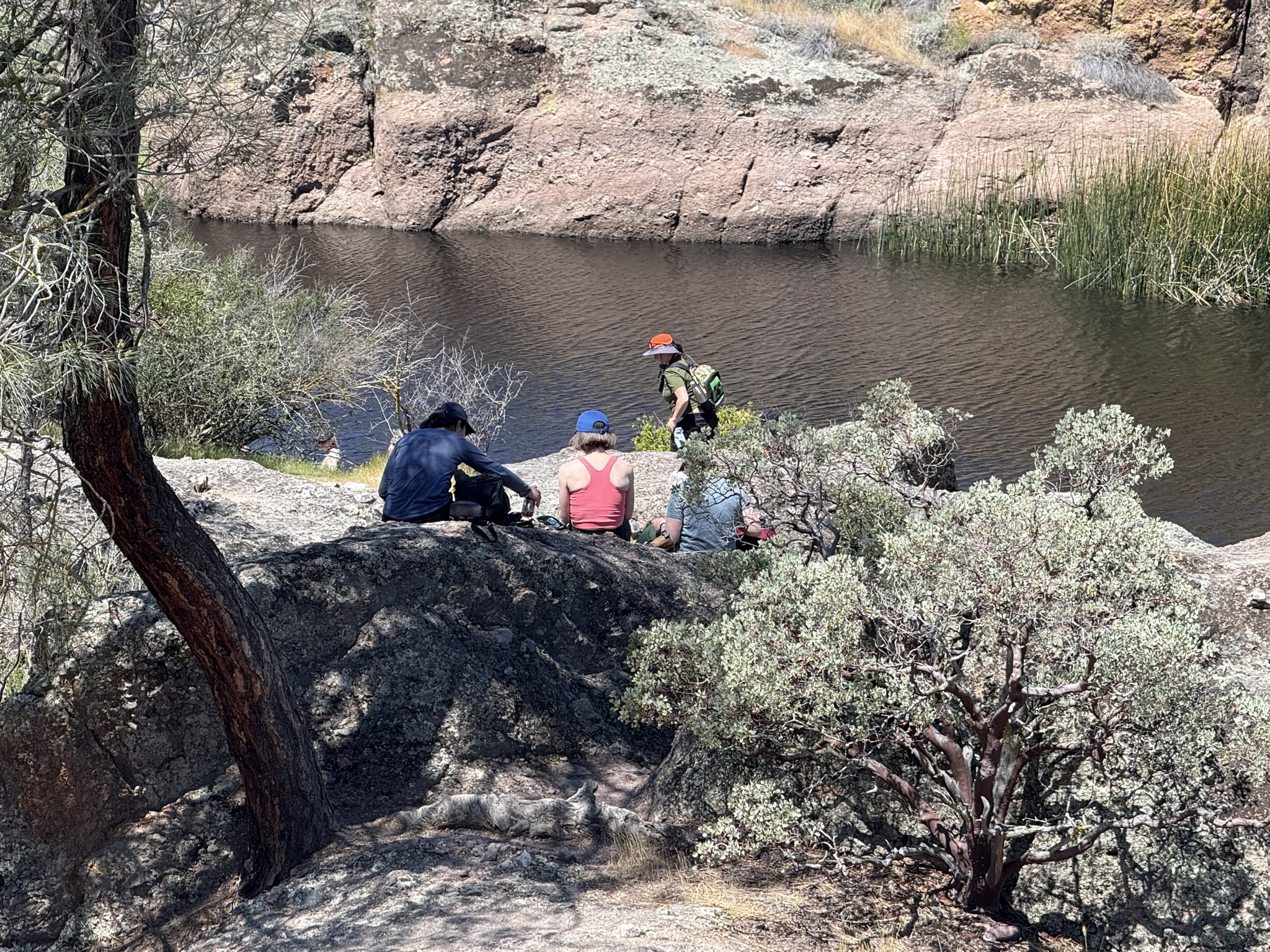 Pinnacles National Park