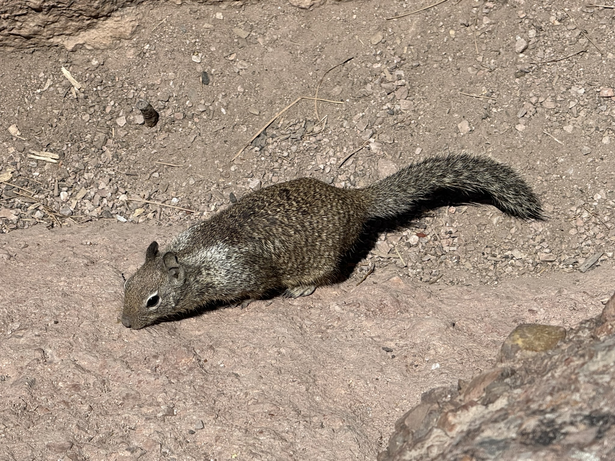Pinnacles National Park