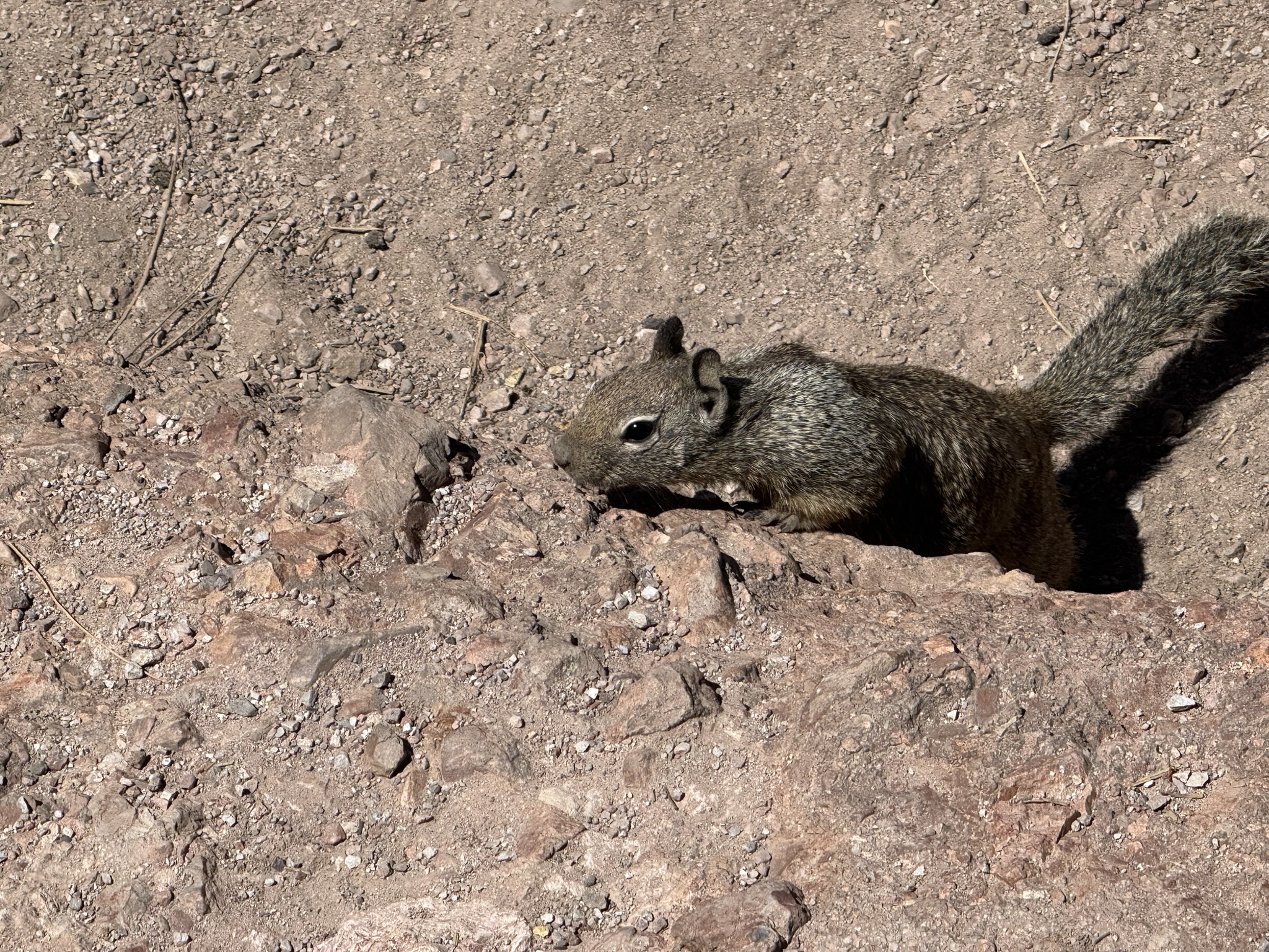 Pinnacles National Park