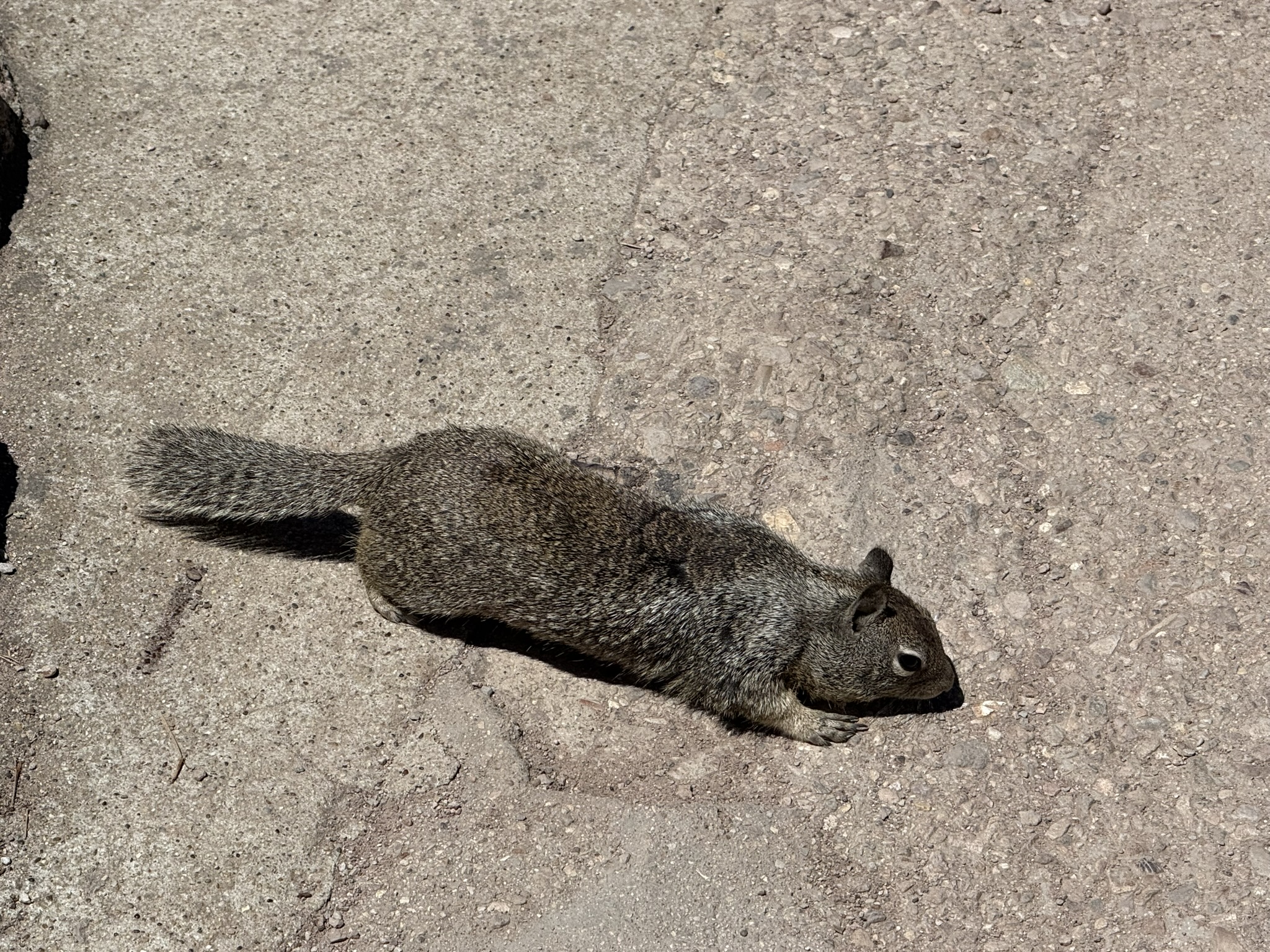 Pinnacles National Park