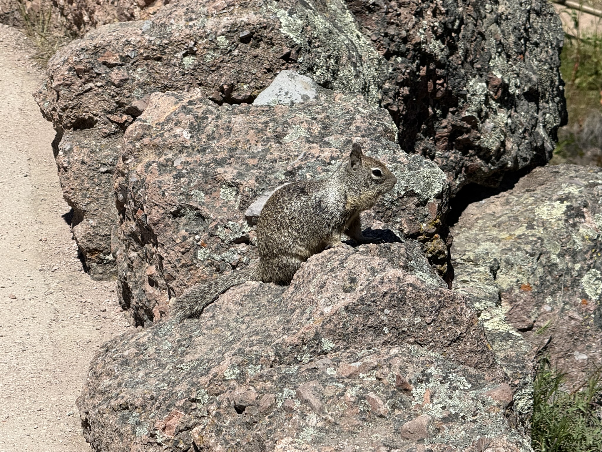 Pinnacles National Park