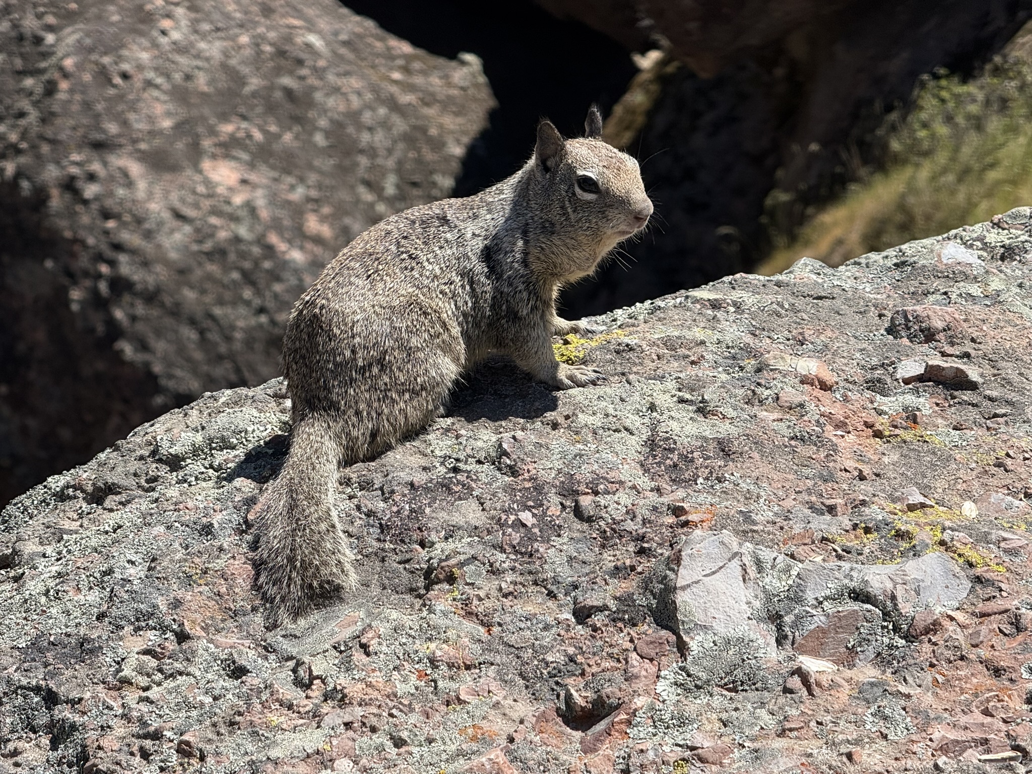 Pinnacles National Park