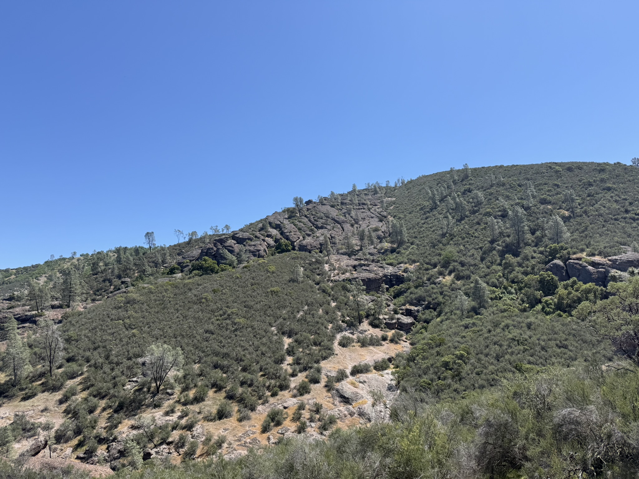Pinnacles National Park