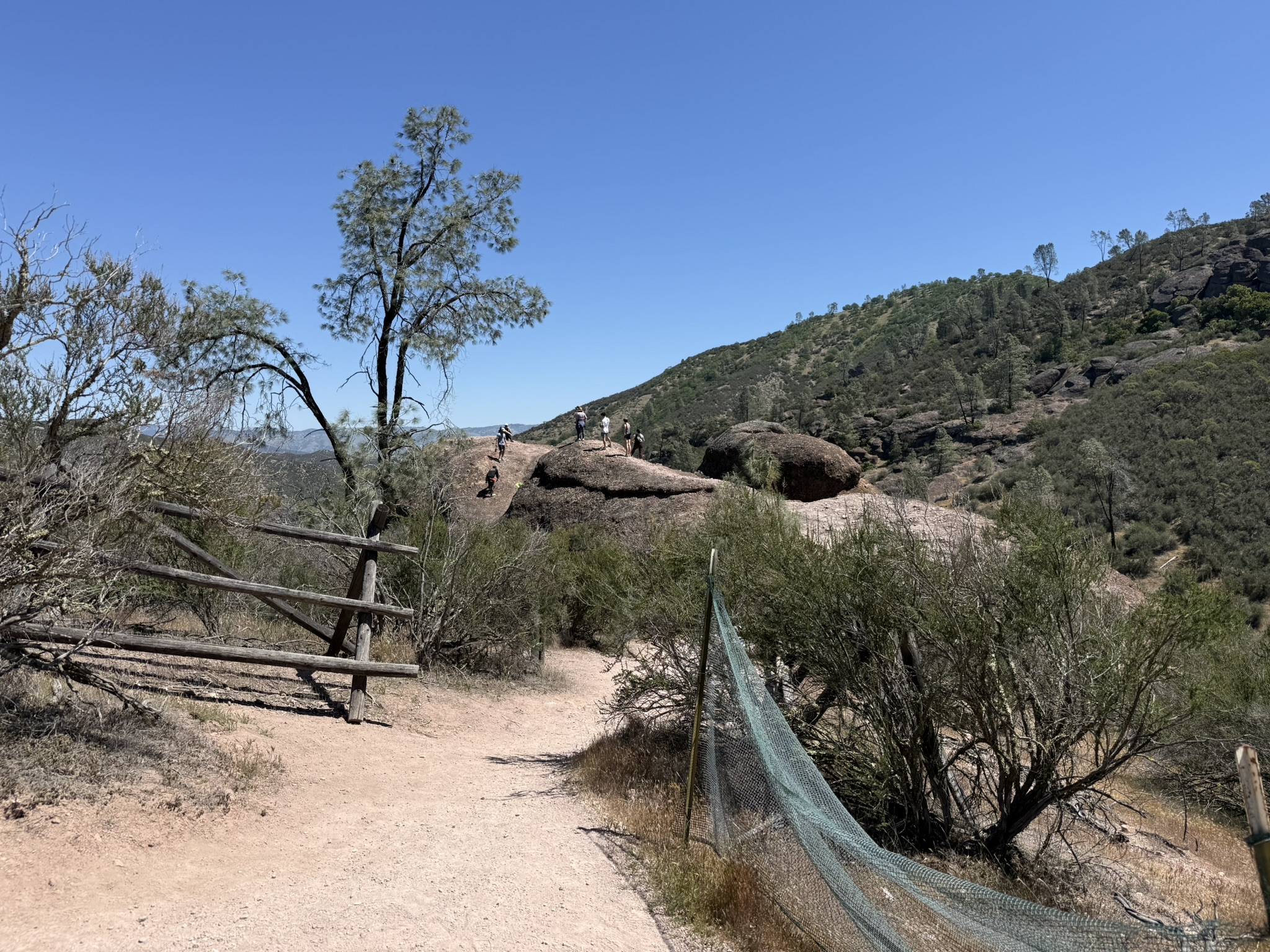 Pinnacles National Park