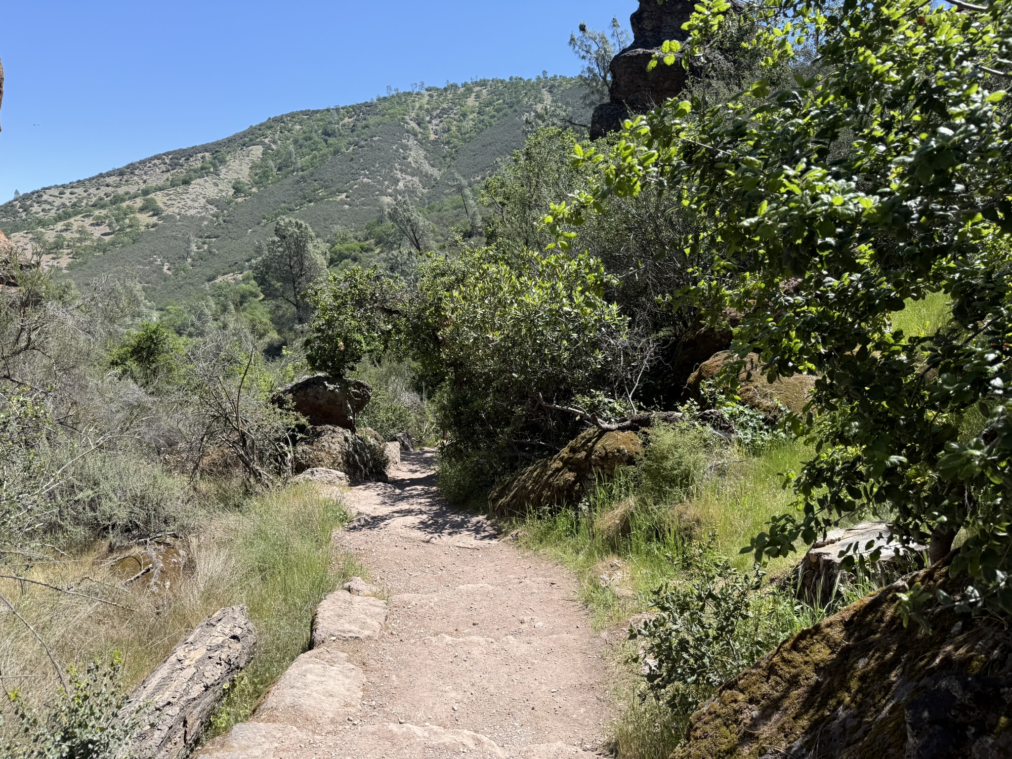 Pinnacles National Park