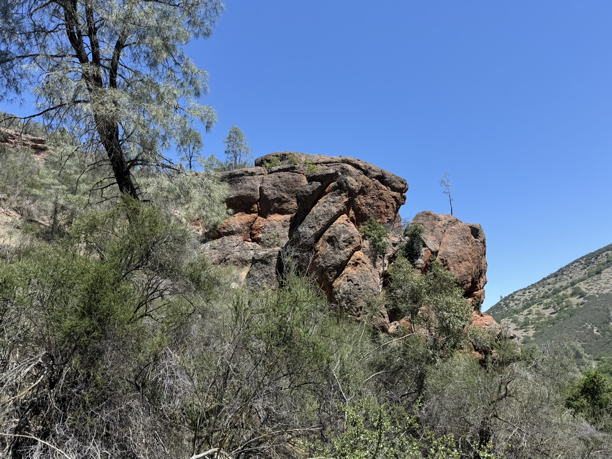 Pinnacles National Park