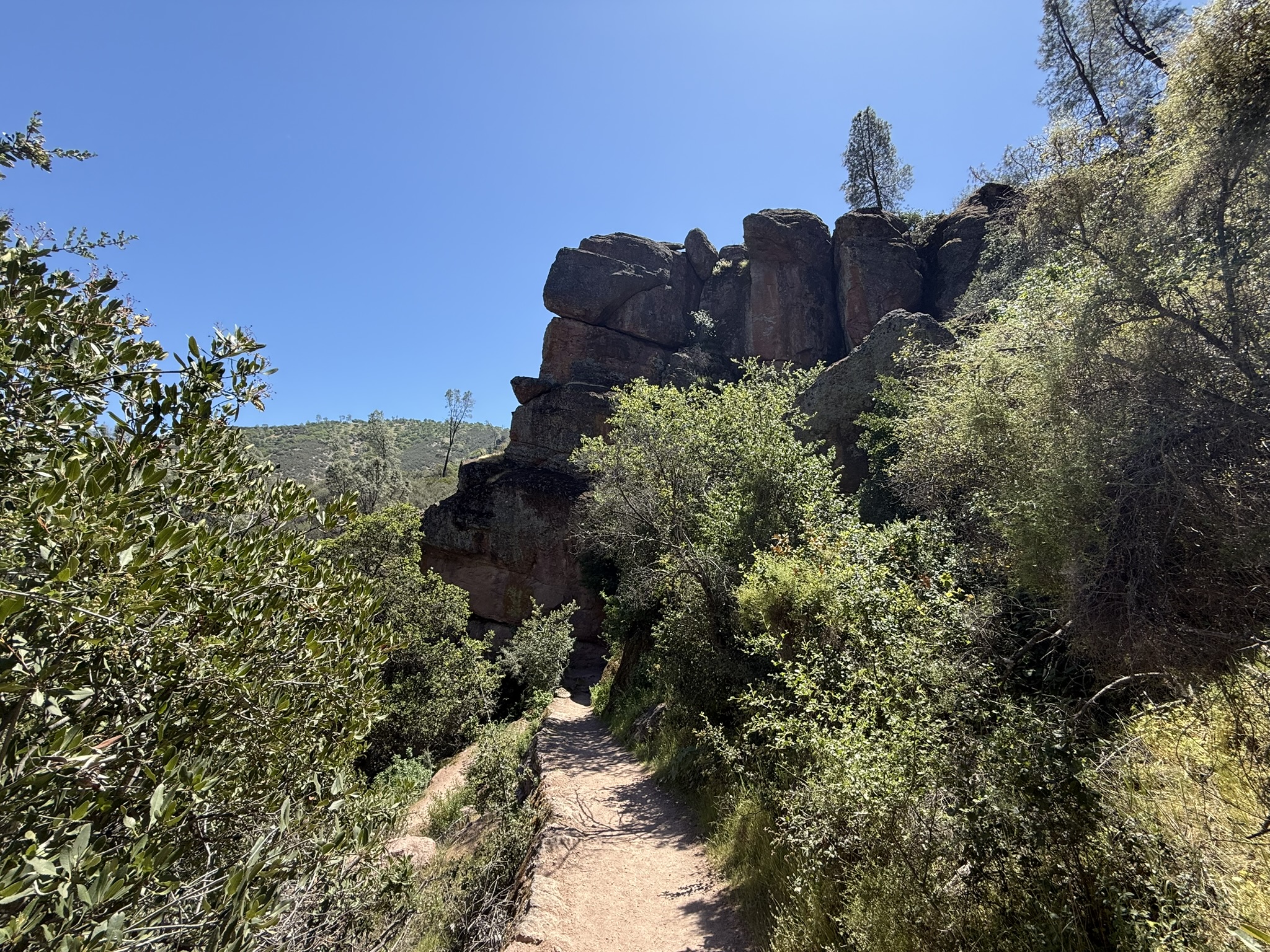 Pinnacles National Park