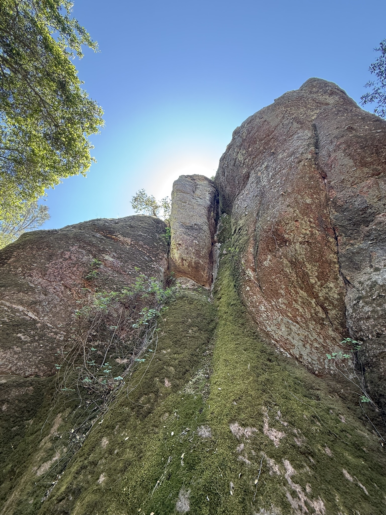 Pinnacles National Park