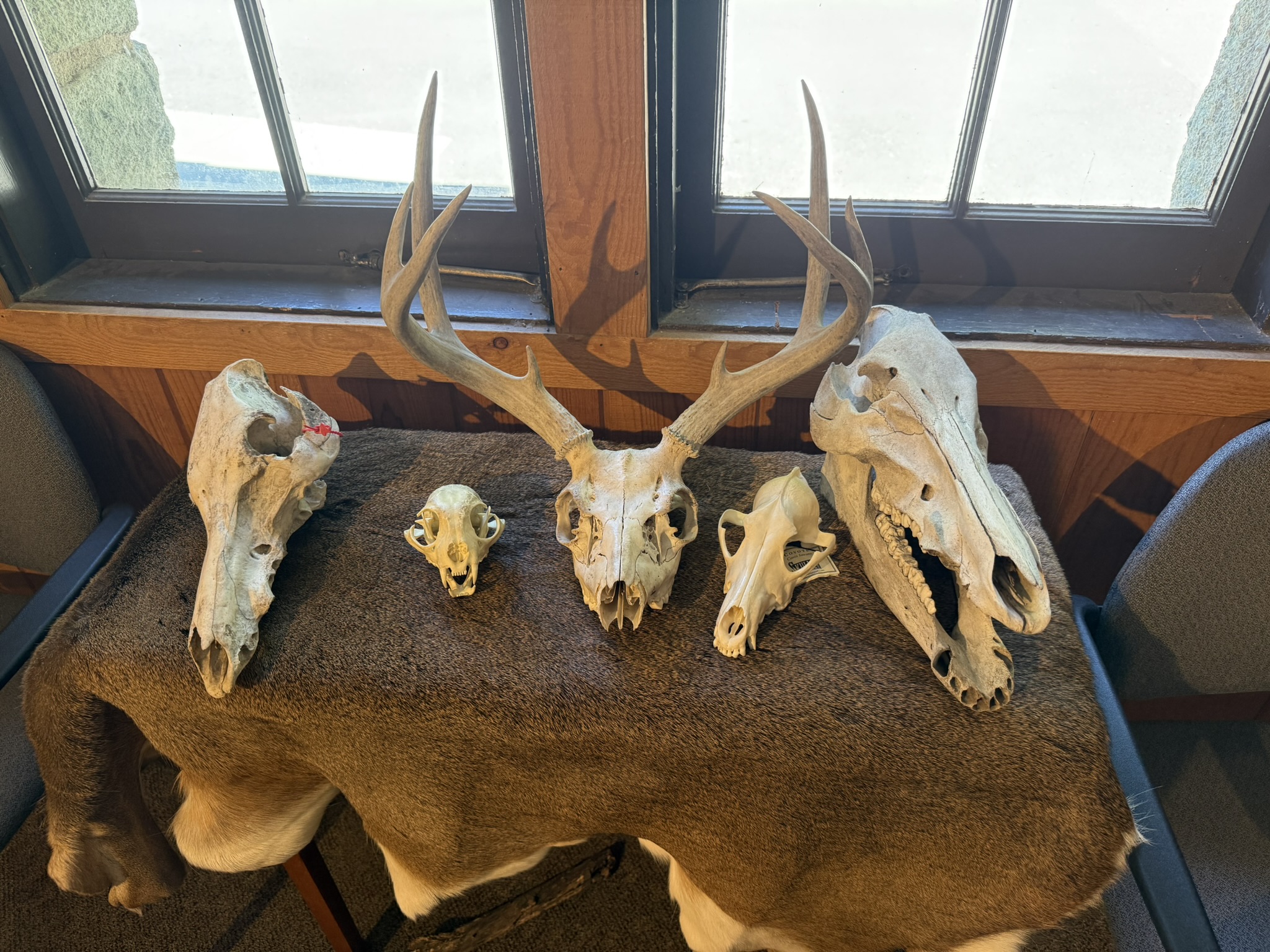 Pinnacles National Park