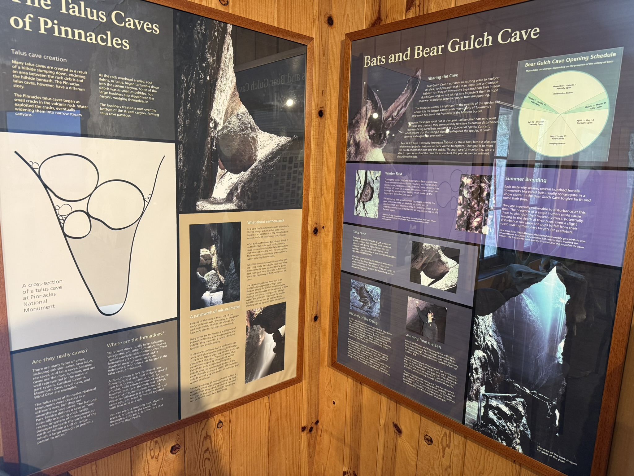 Pinnacles National Park