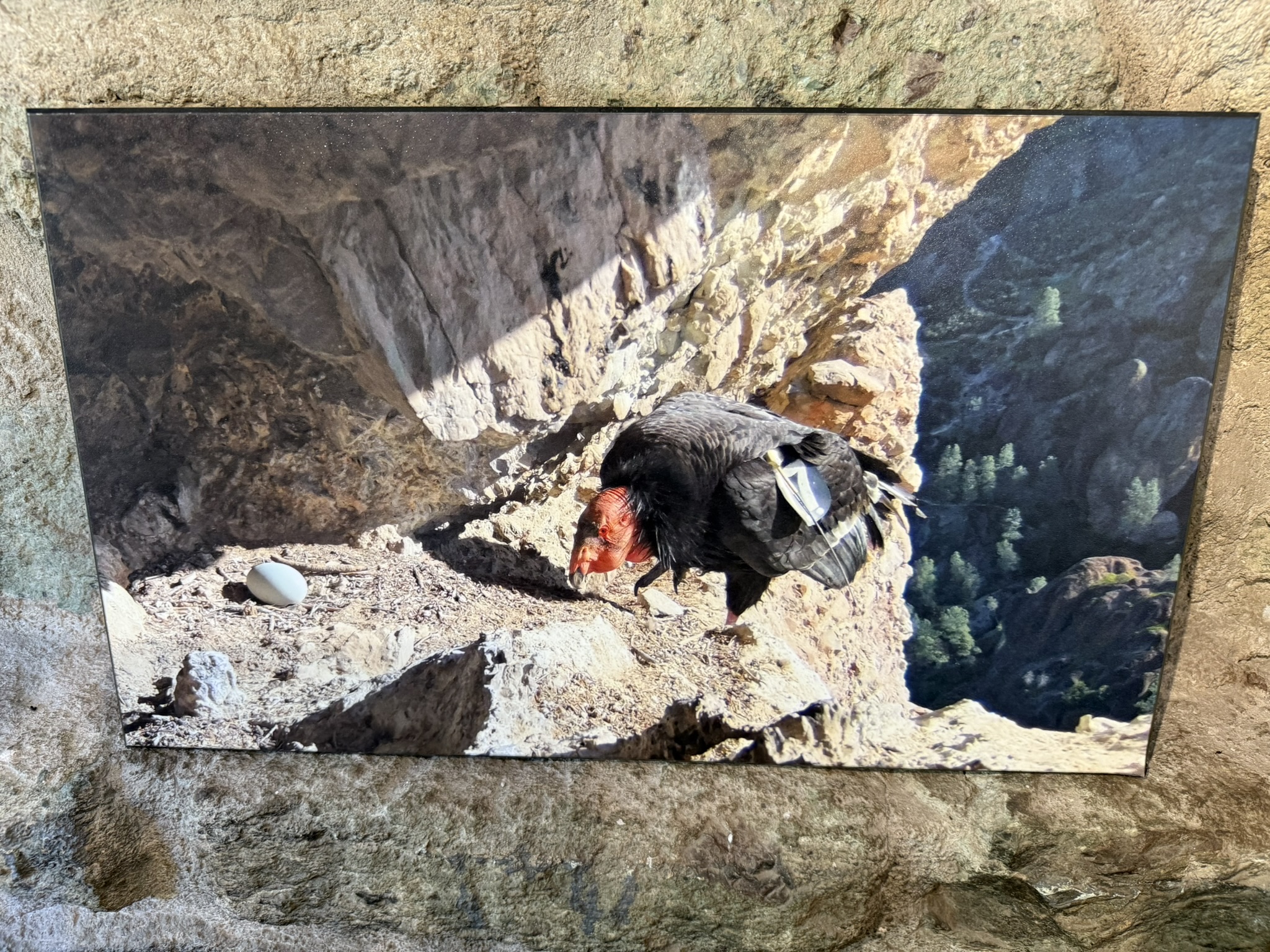 Pinnacles National Park