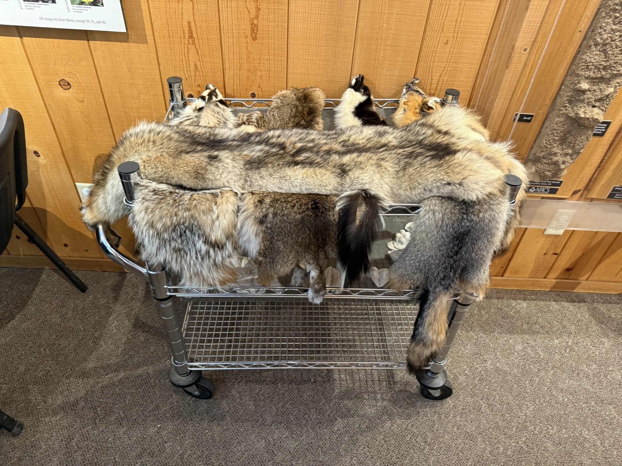 Pinnacles National Park