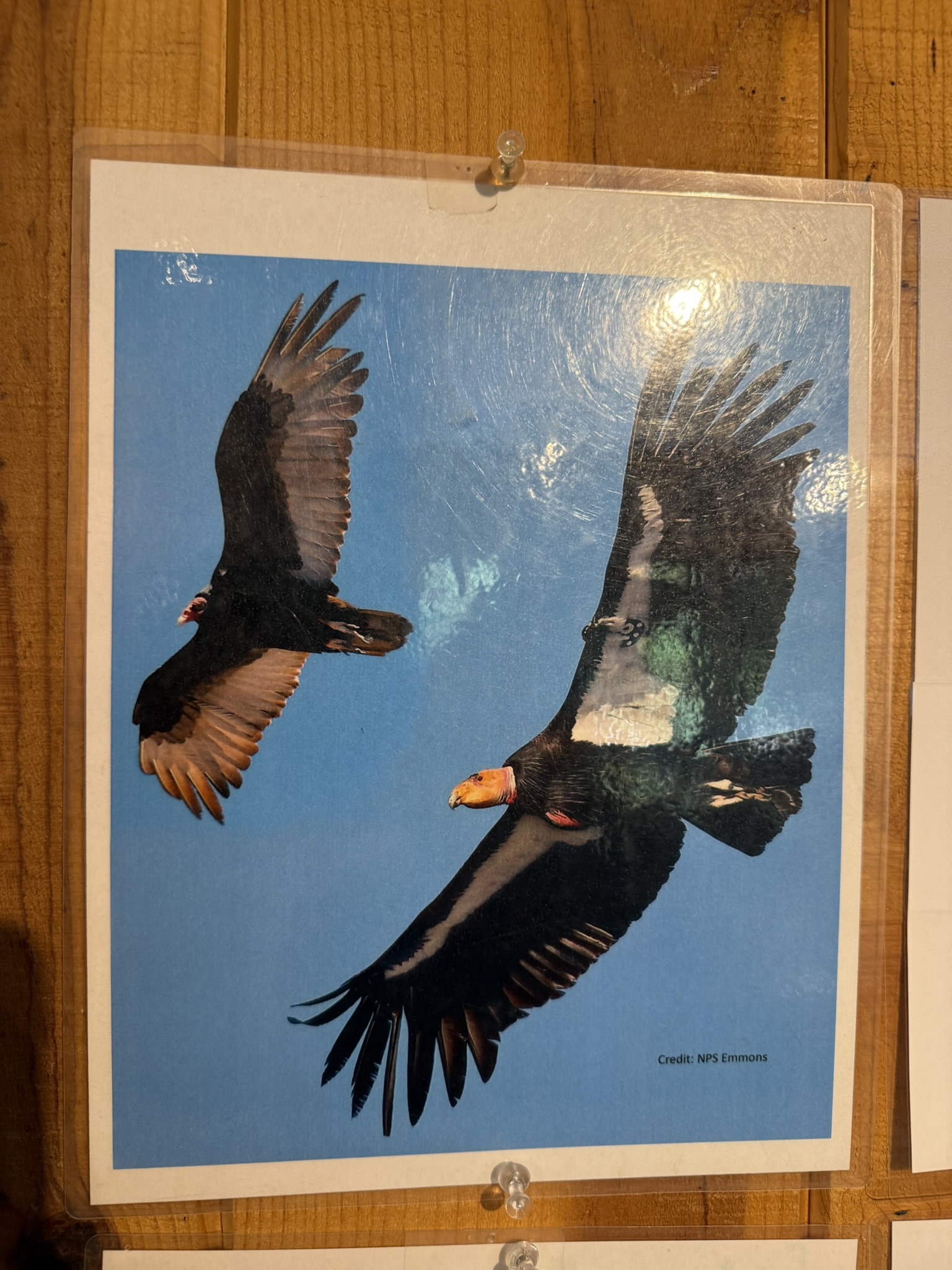 Pinnacles National Park