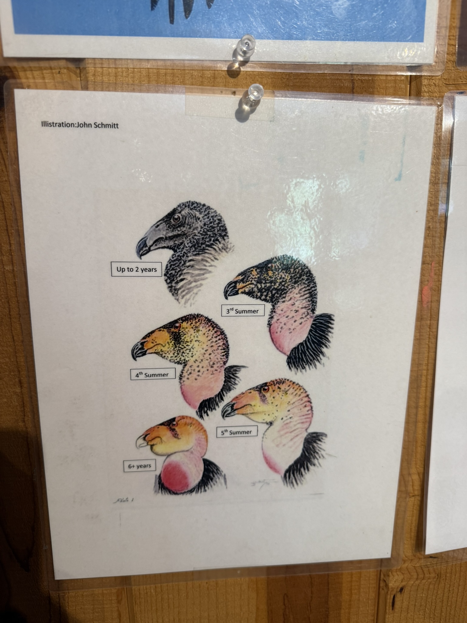 Pinnacles National Park