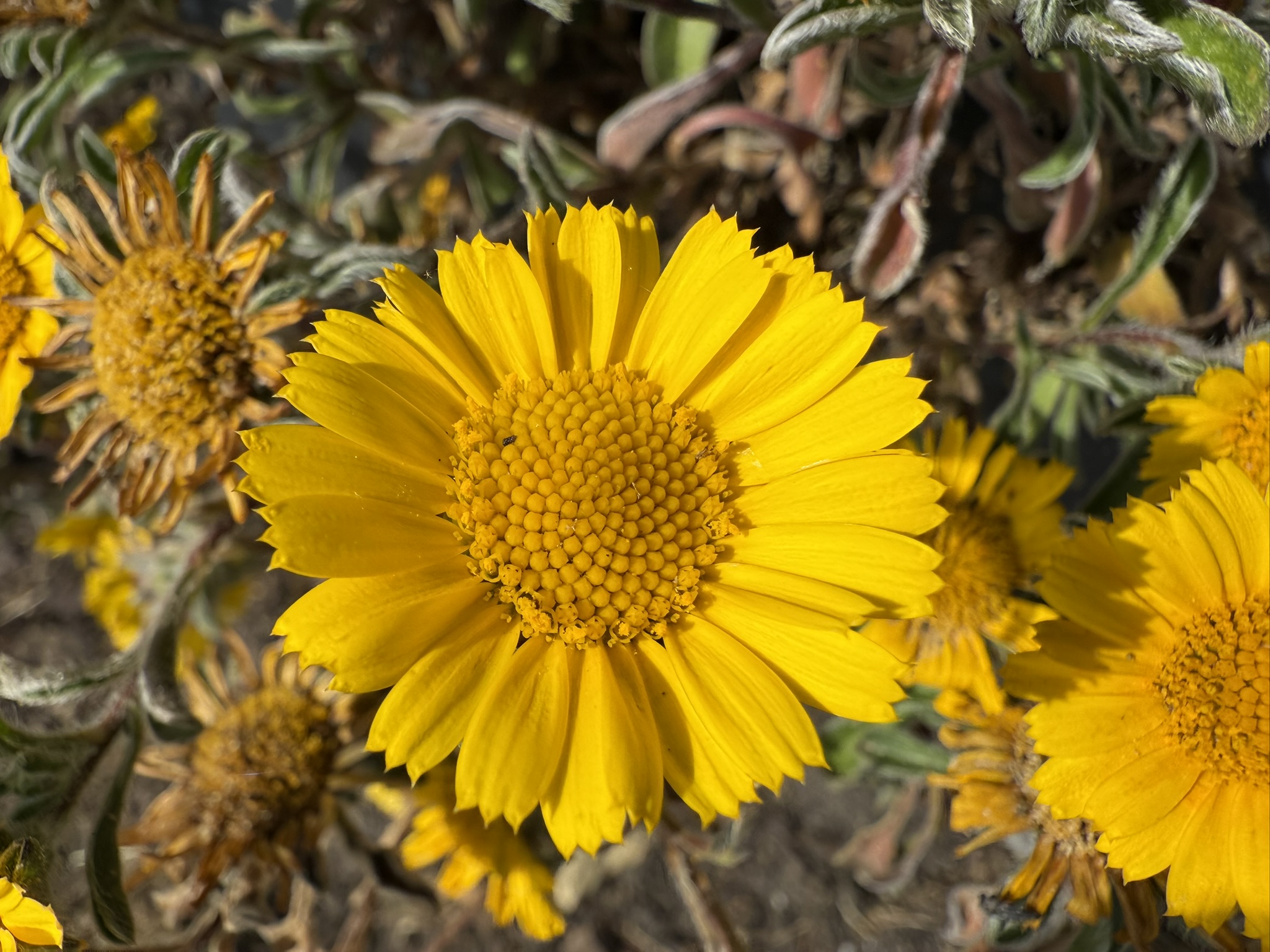 Martin Luther King Jr. Regional Shoreline