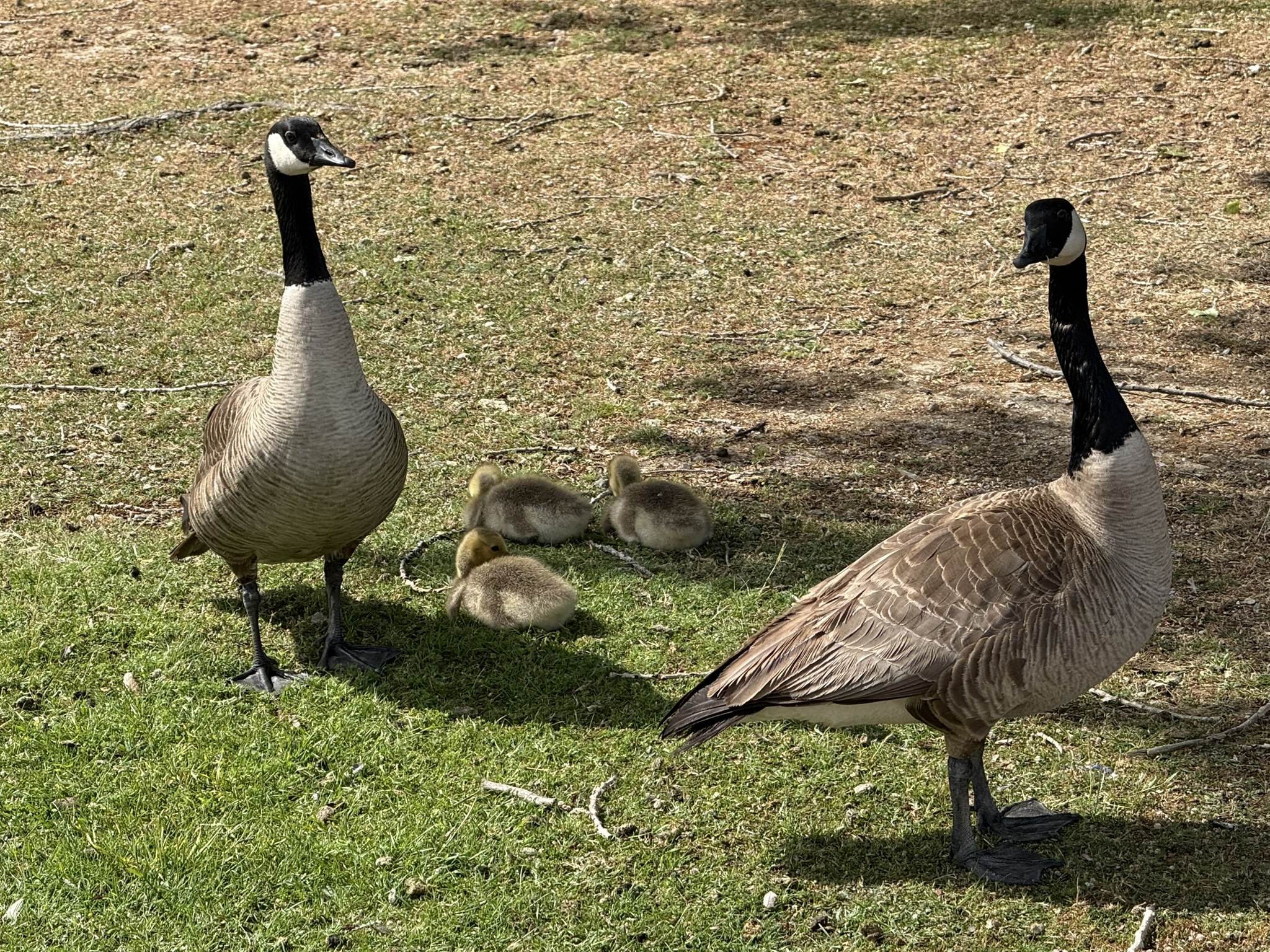 Martin Luther King Jr. Regional Shoreline