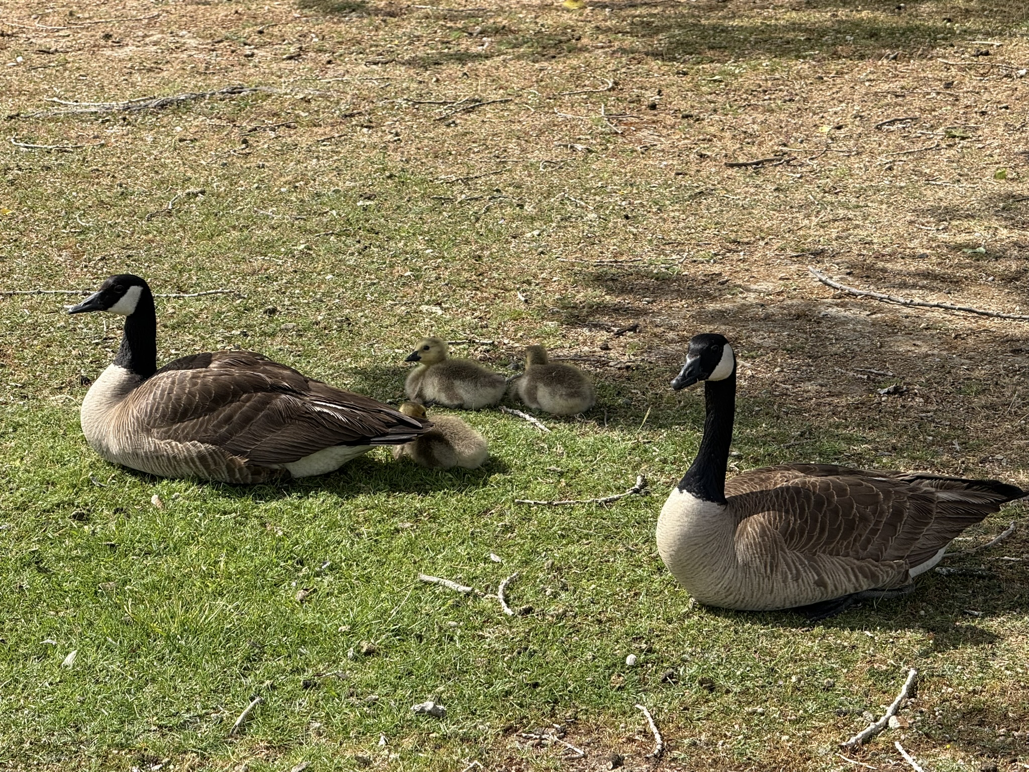 Martin Luther King Jr. Regional Shoreline