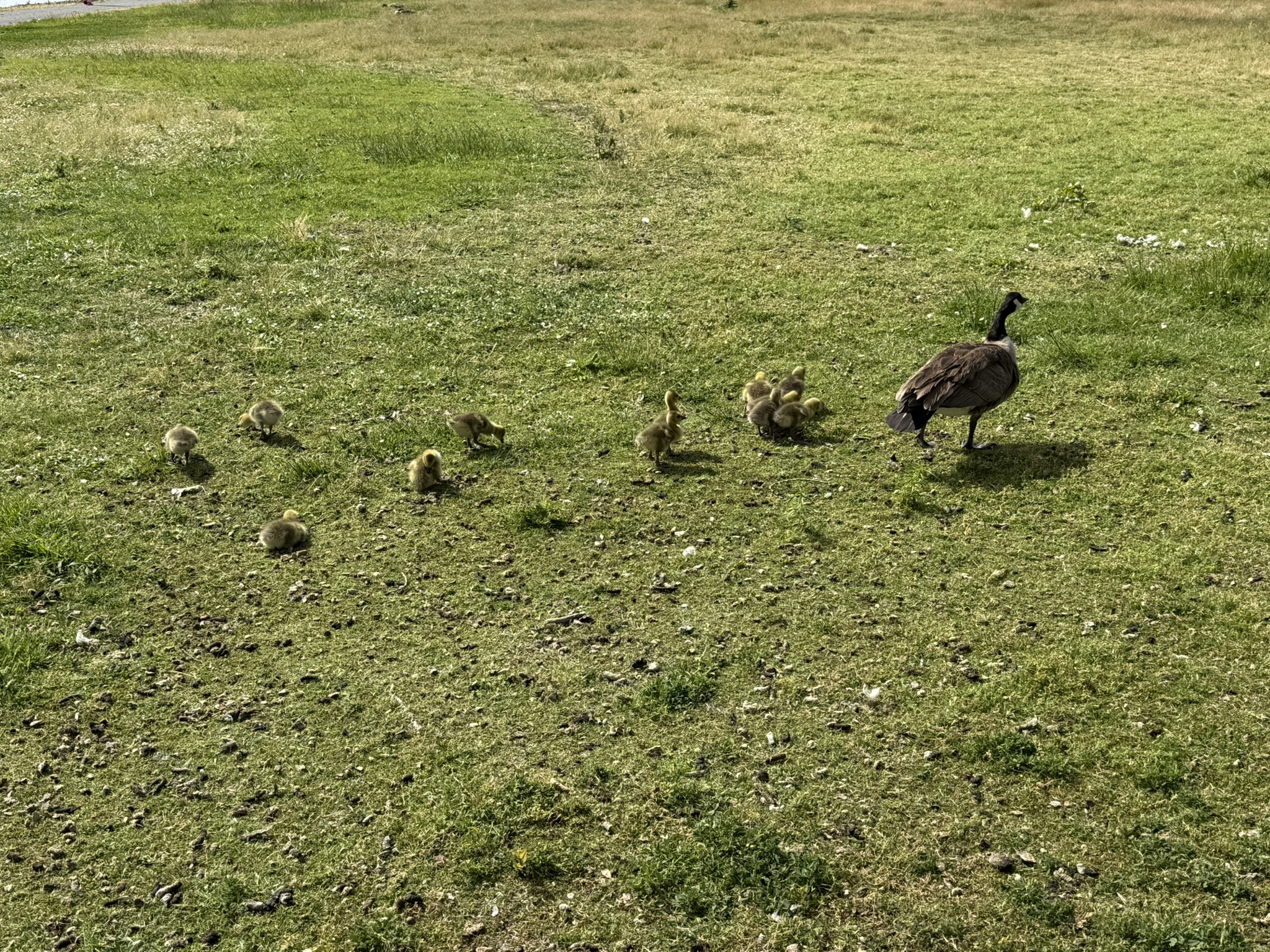 Martin Luther King Jr. Regional Shoreline