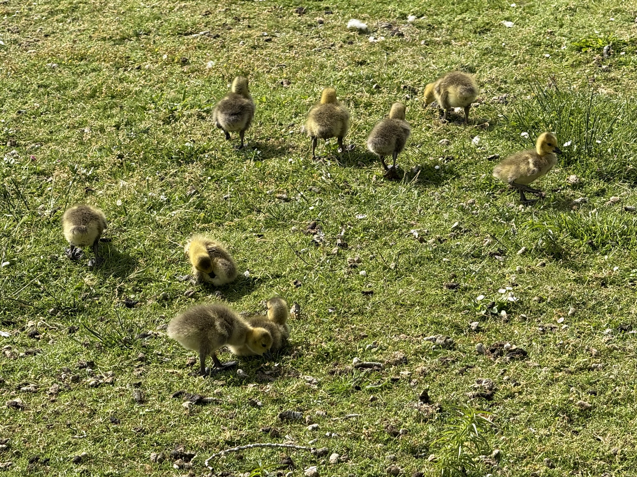 Martin Luther King Jr. Regional Shoreline