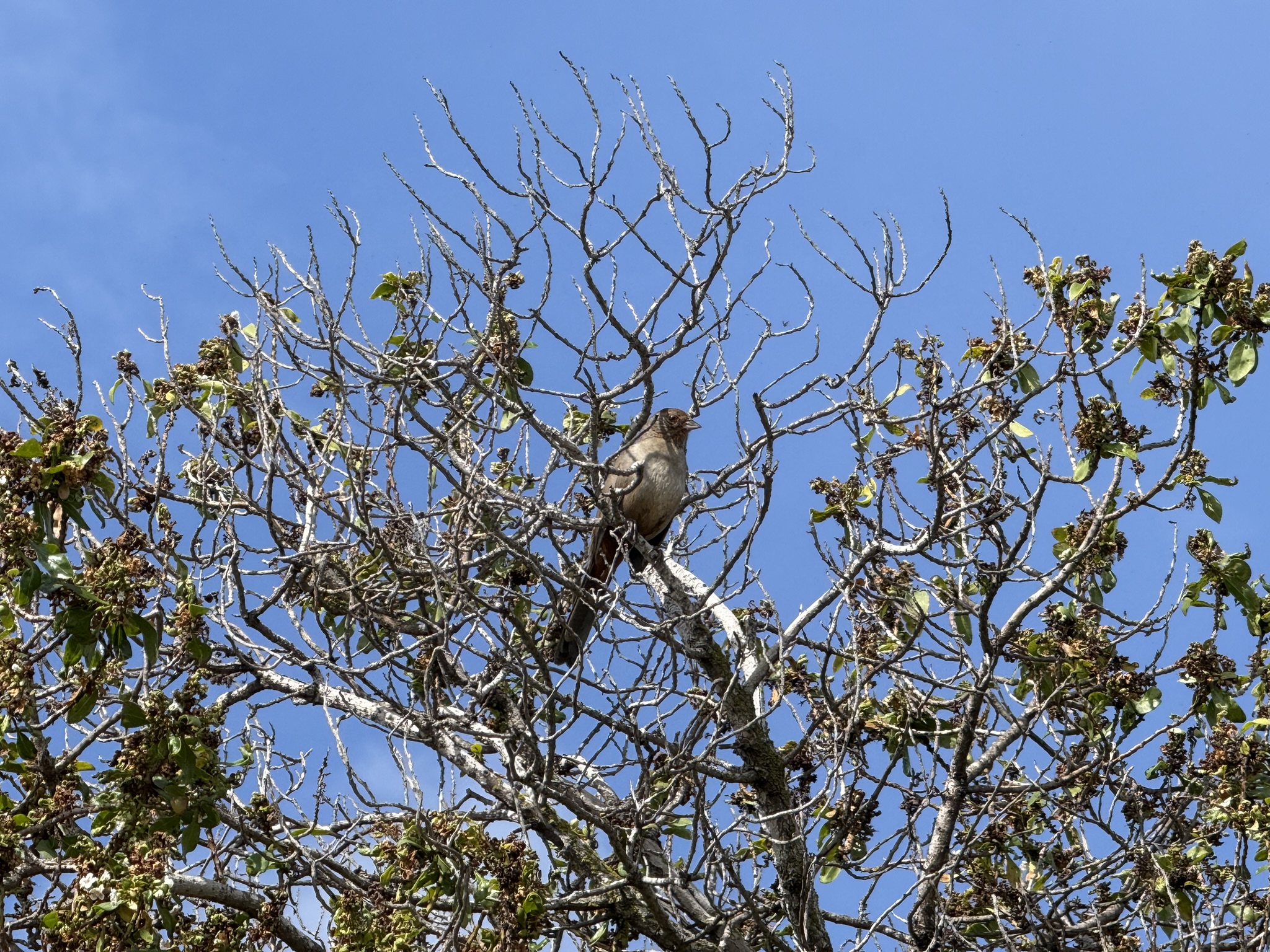 Martin Luther King Jr. Regional Shoreline