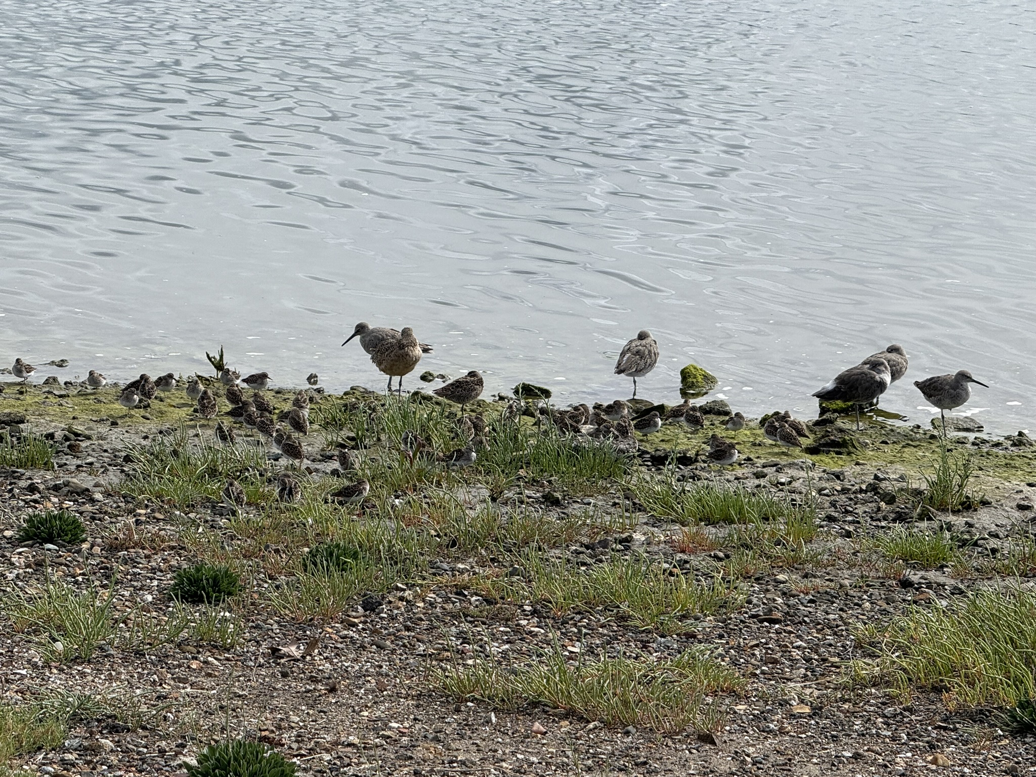 Martin Luther King Jr. Regional Shoreline