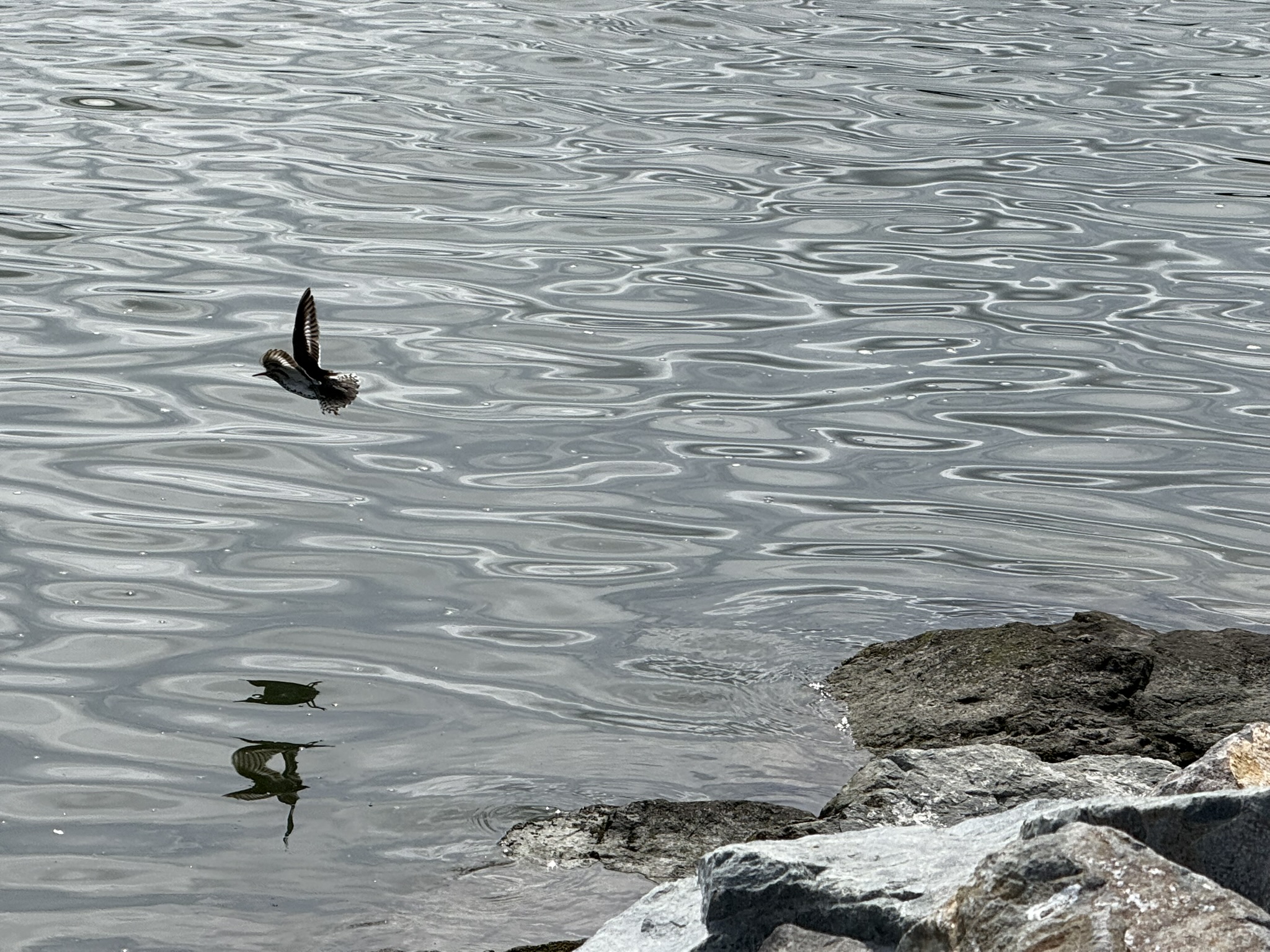 Martin Luther King Jr. Regional Shoreline